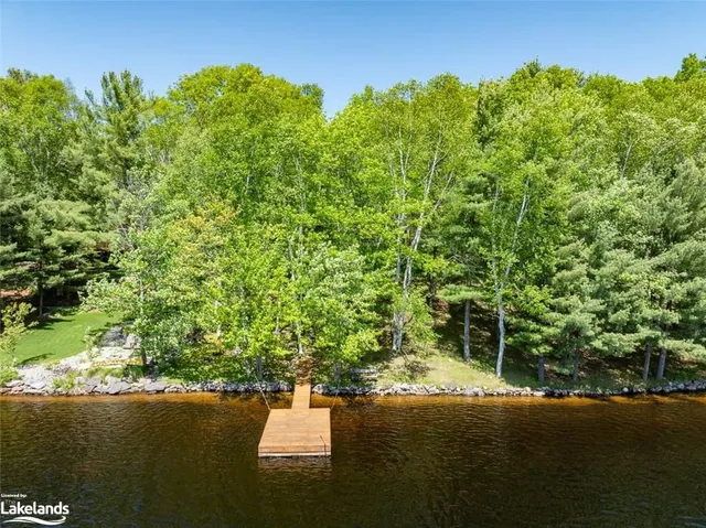 38 Shebeshekong Est Rd S, Carling 5