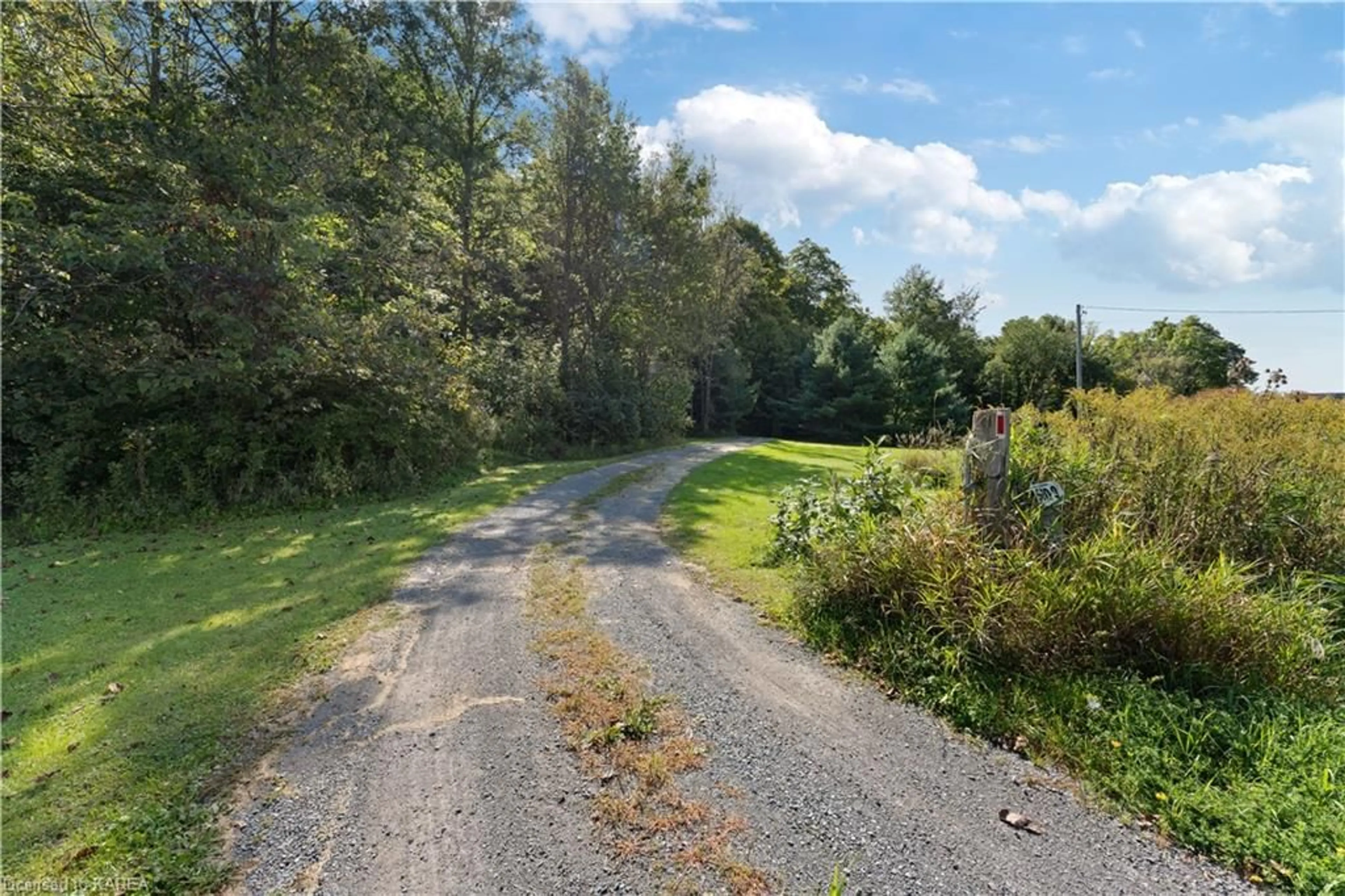 Patio, the street view for 5209 Highway 15, Kingston Ontario K0H 2N0