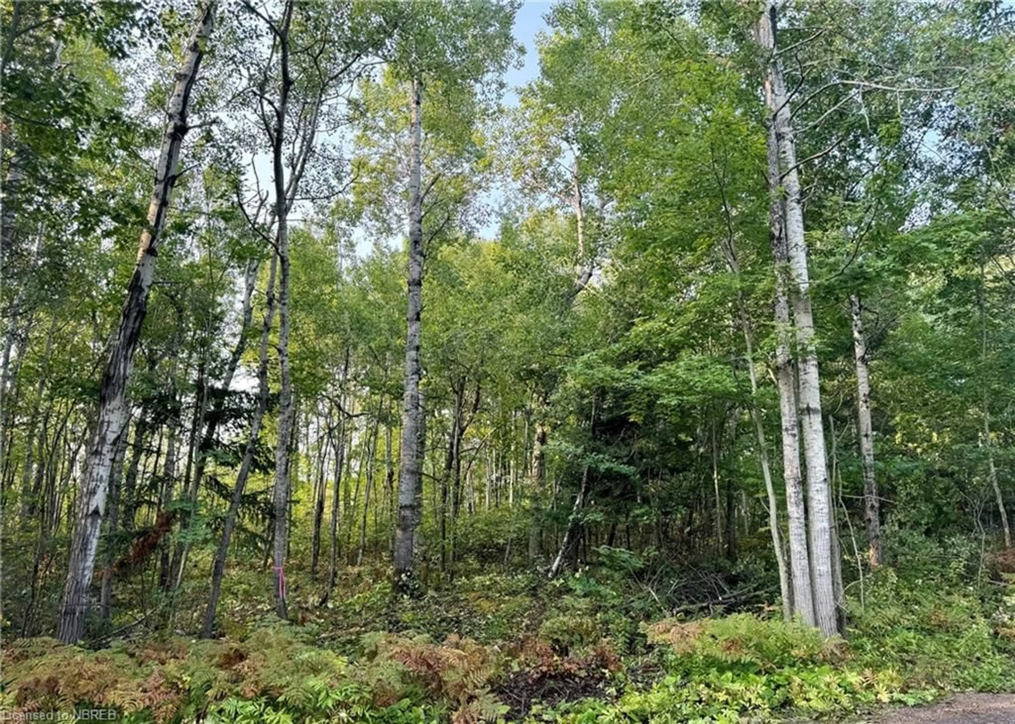 A pic from exterior of the house or condo, forest for PART 3 OF LOT 2 Tillicum Bay Rd, Callander Ontario P0H 1H0