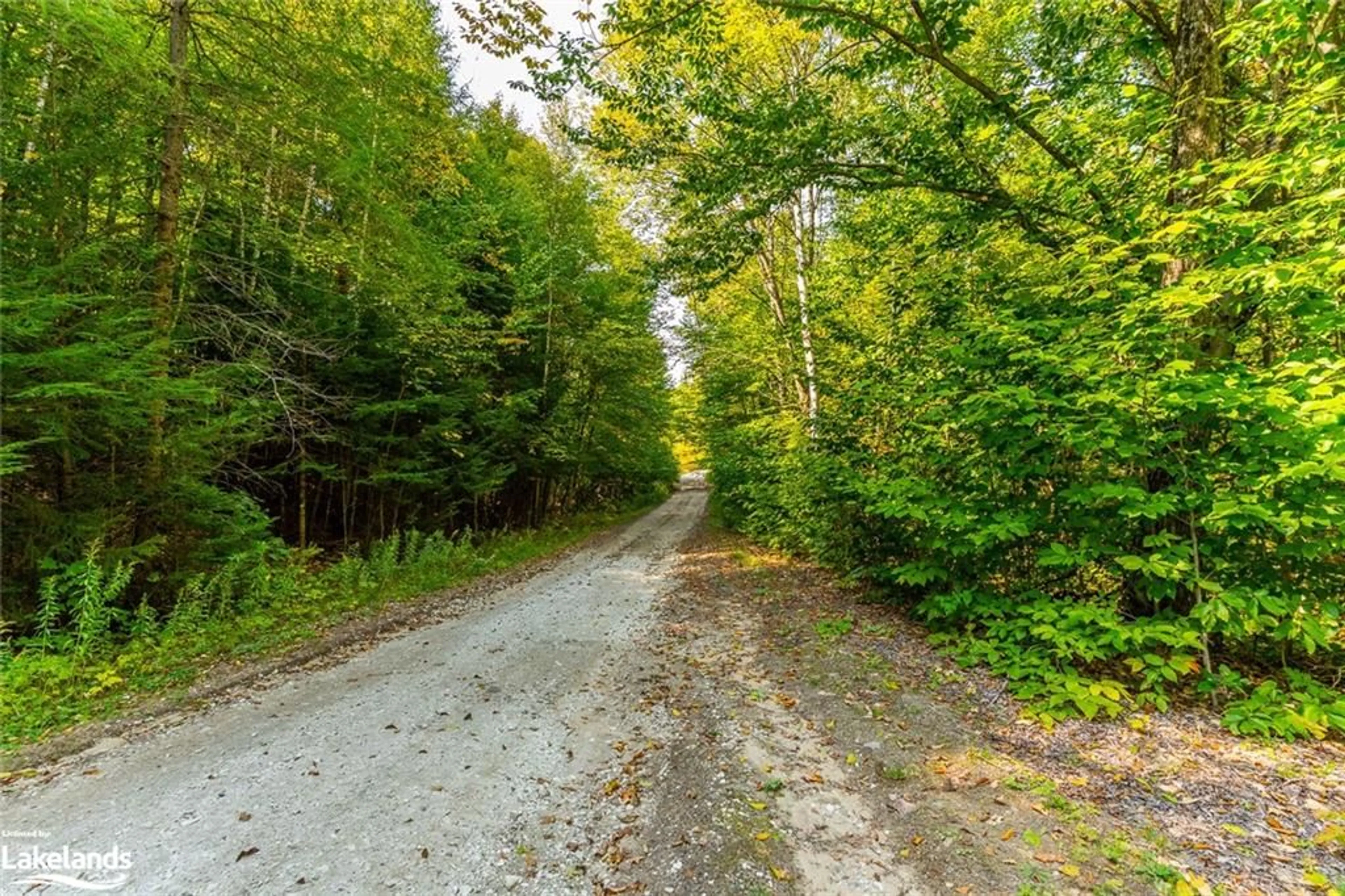 Patio, the street view for LOT 49 Basshaunt Lake Rd, Eagle Lake Ontario K0M 1M0