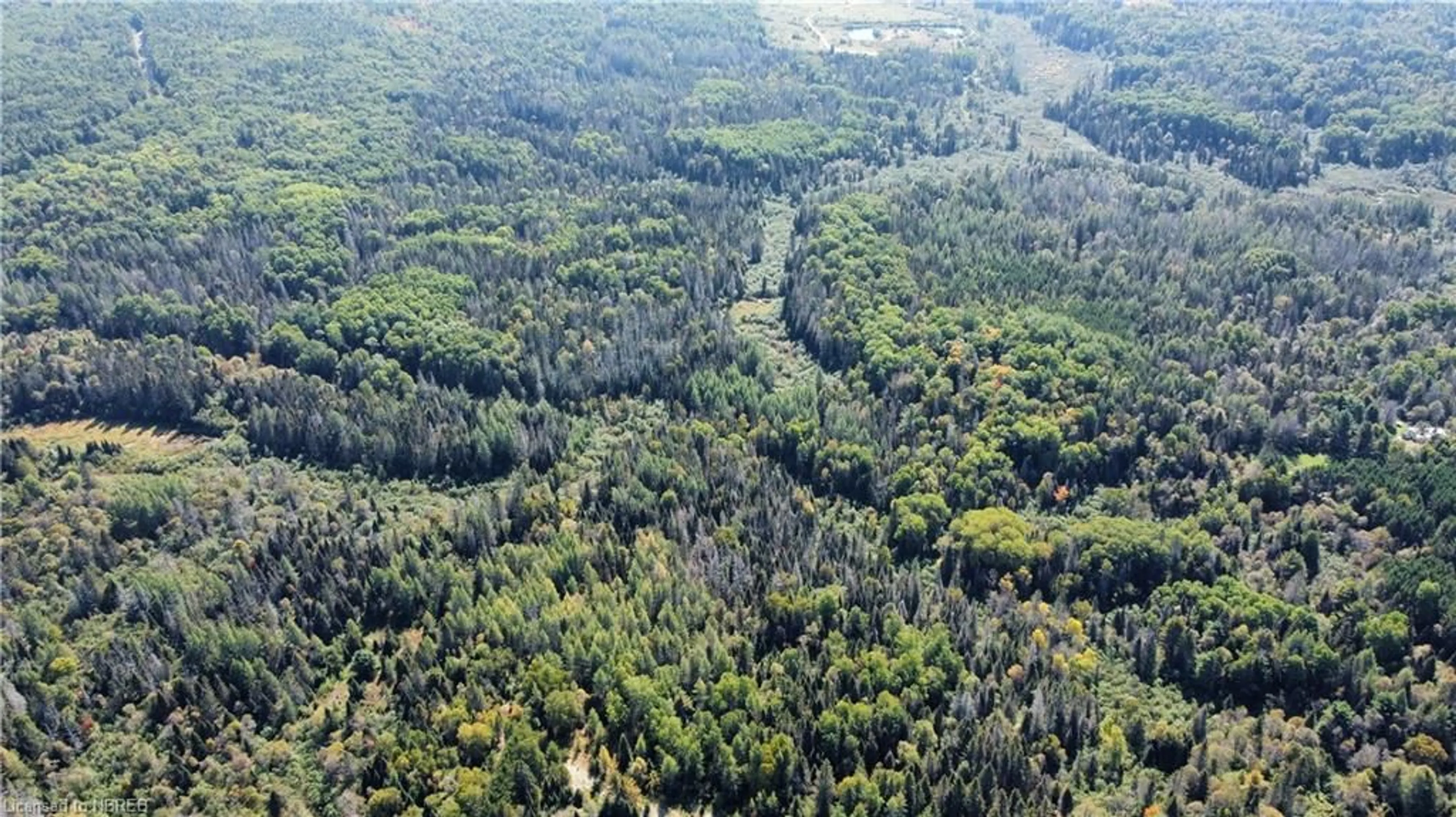 Forest view for LOT 29 Grand Desert Rd, Rutherglen Ontario P0H 2E0