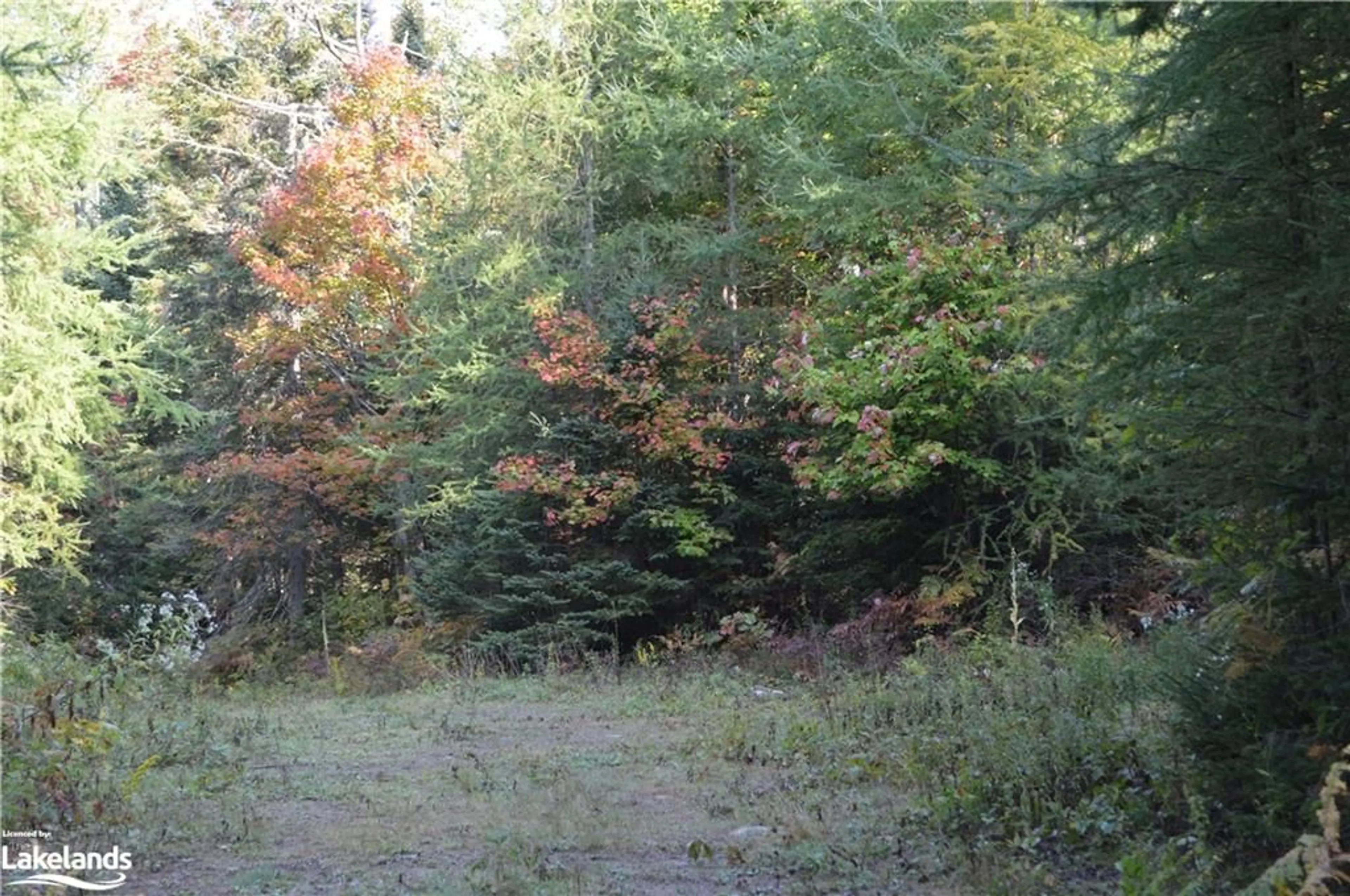 Patio, forest for LOT 20 Concession 5 Rd, Newholm Ontario P1H 2J3