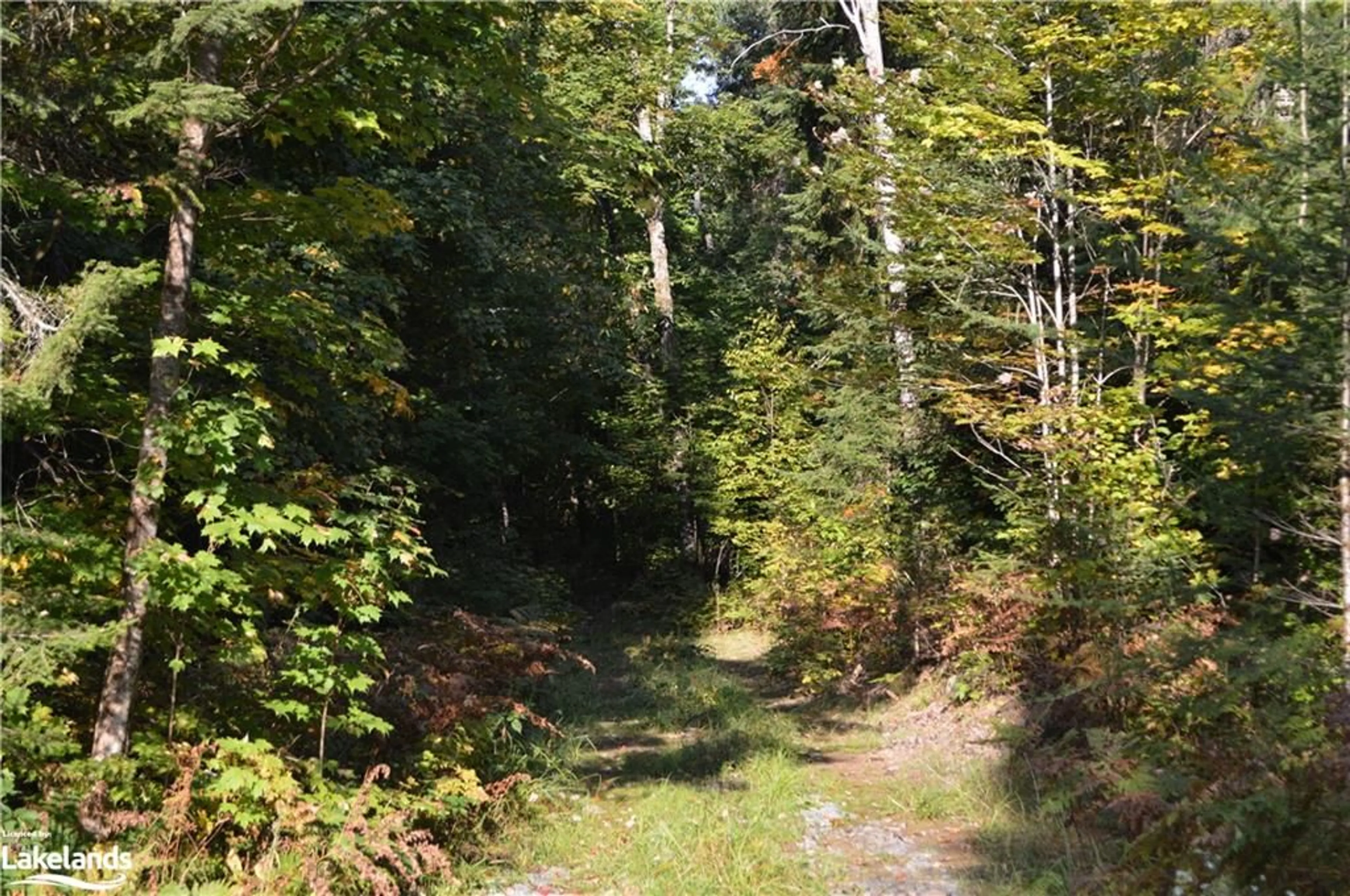 Patio, forest for LOT 20 Concession 5 Rd, Newholm Ontario P1H 2J3