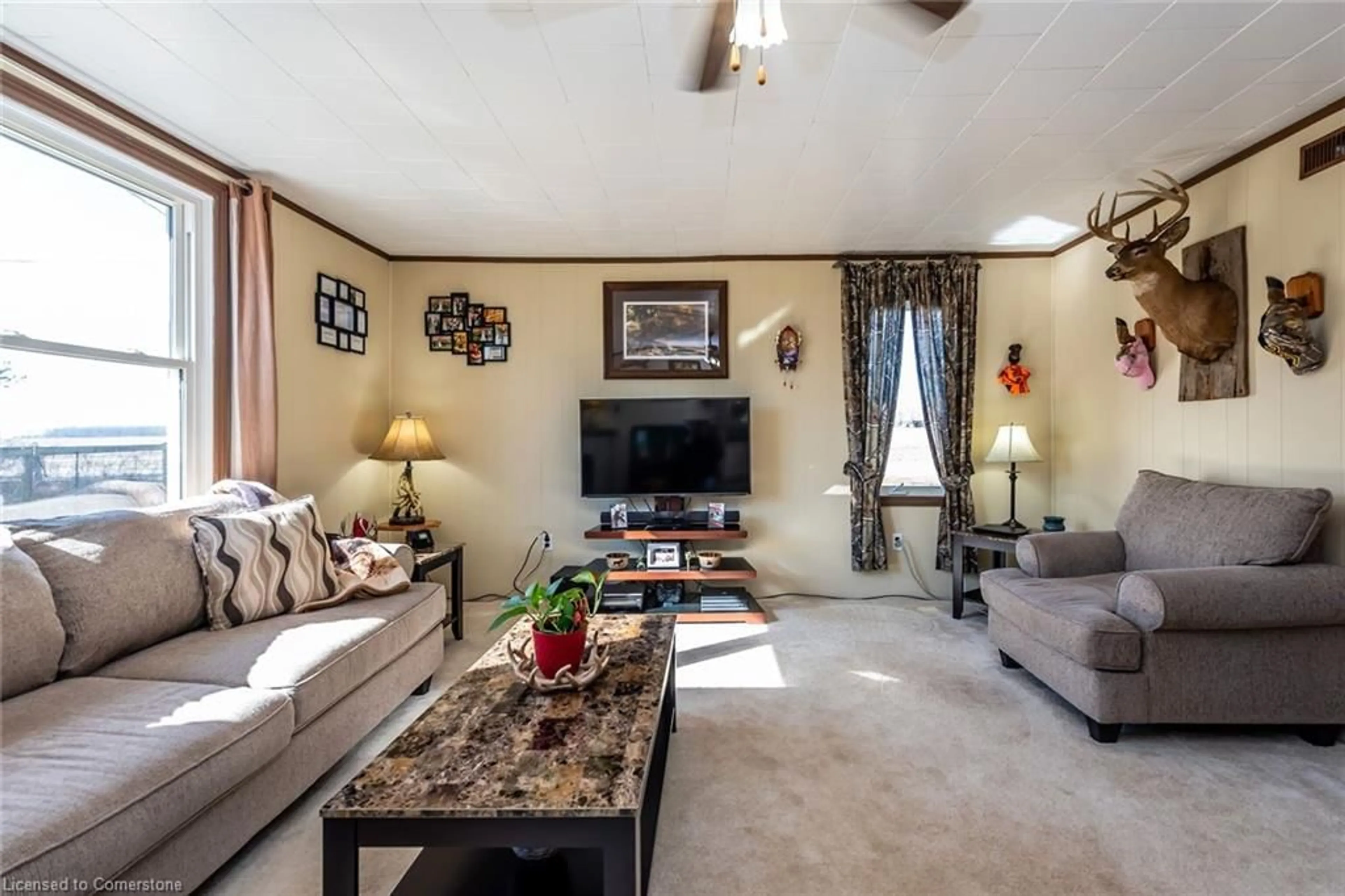 Living room, carpet floors for 576 Lakeshore Rd, Selkirk Ontario N0A 1P0