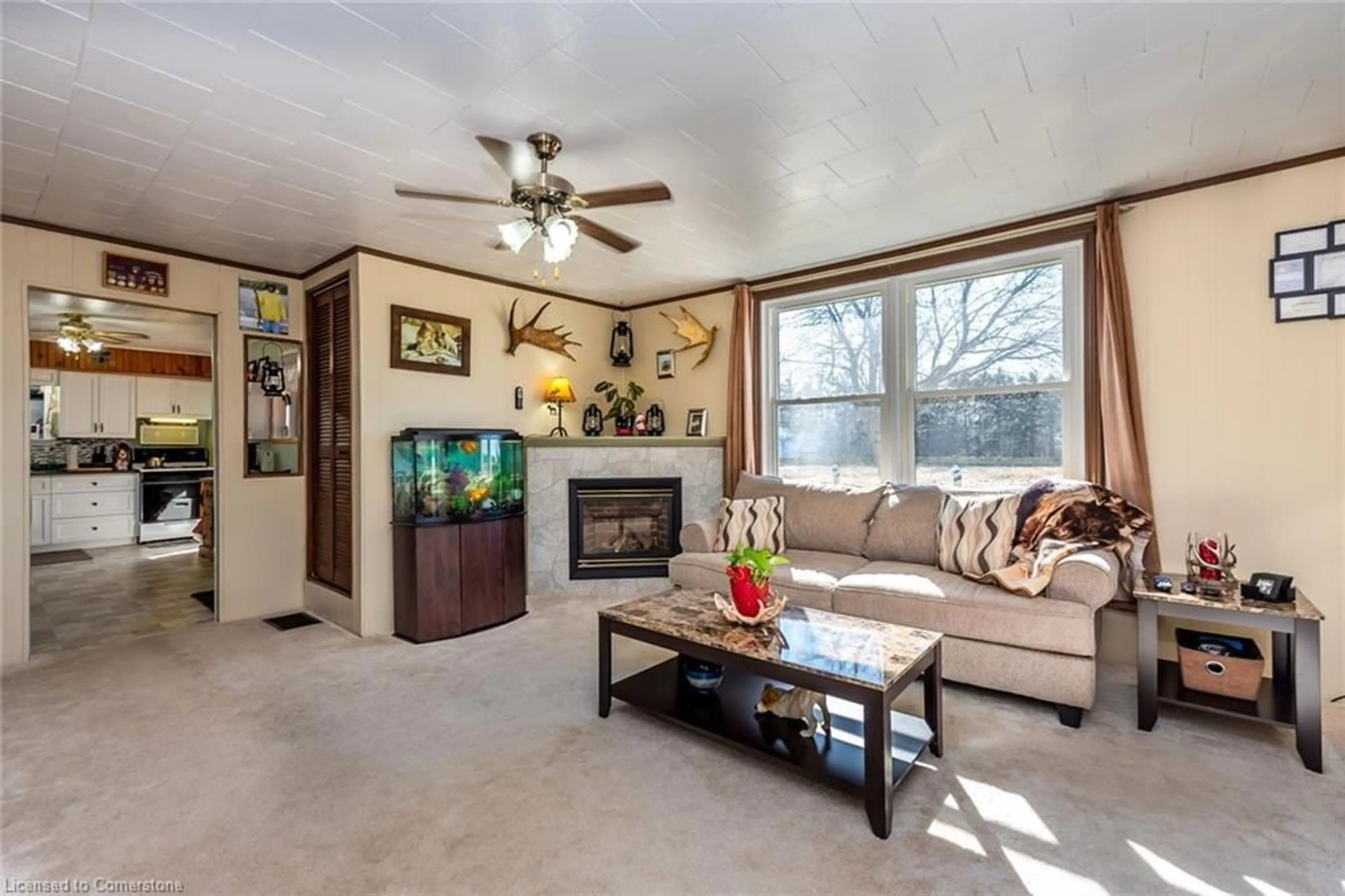 Living room, carpet floors for 576 Lakeshore Rd, Selkirk Ontario N0A 1P0