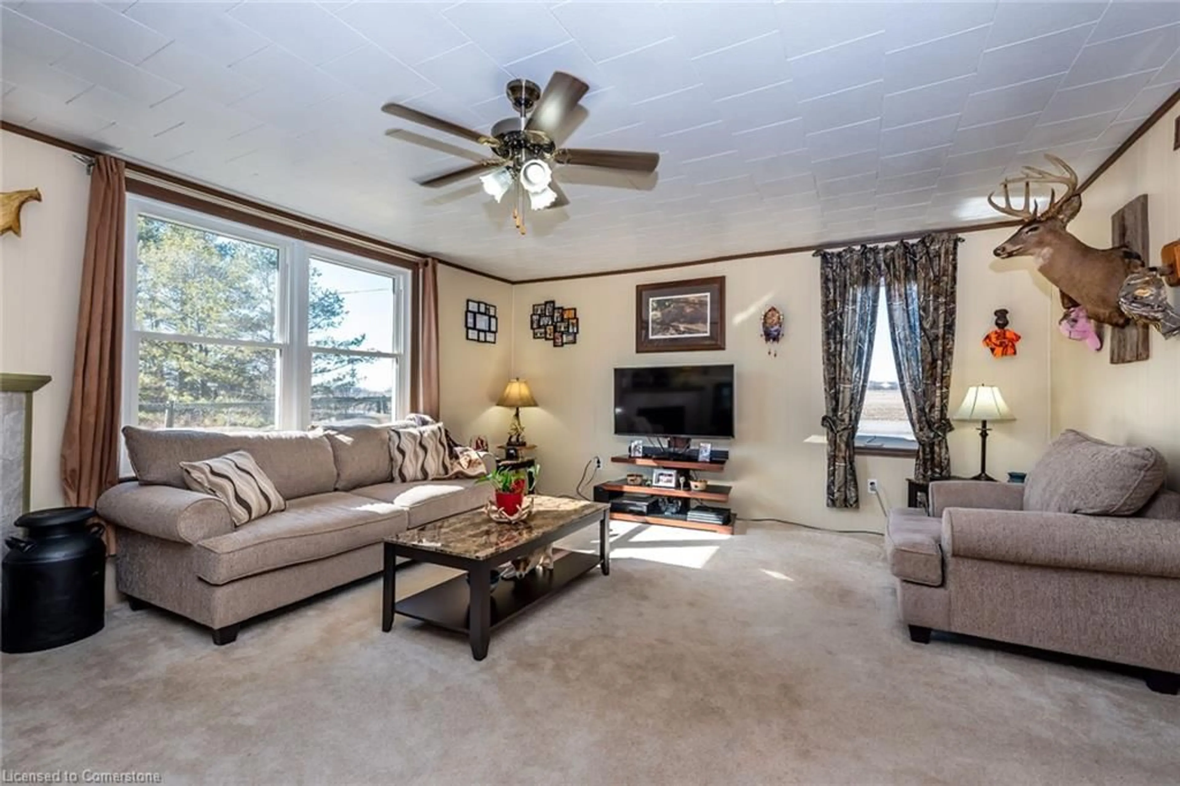 Living room, carpet floors for 576 Lakeshore Rd, Selkirk Ontario N0A 1P0