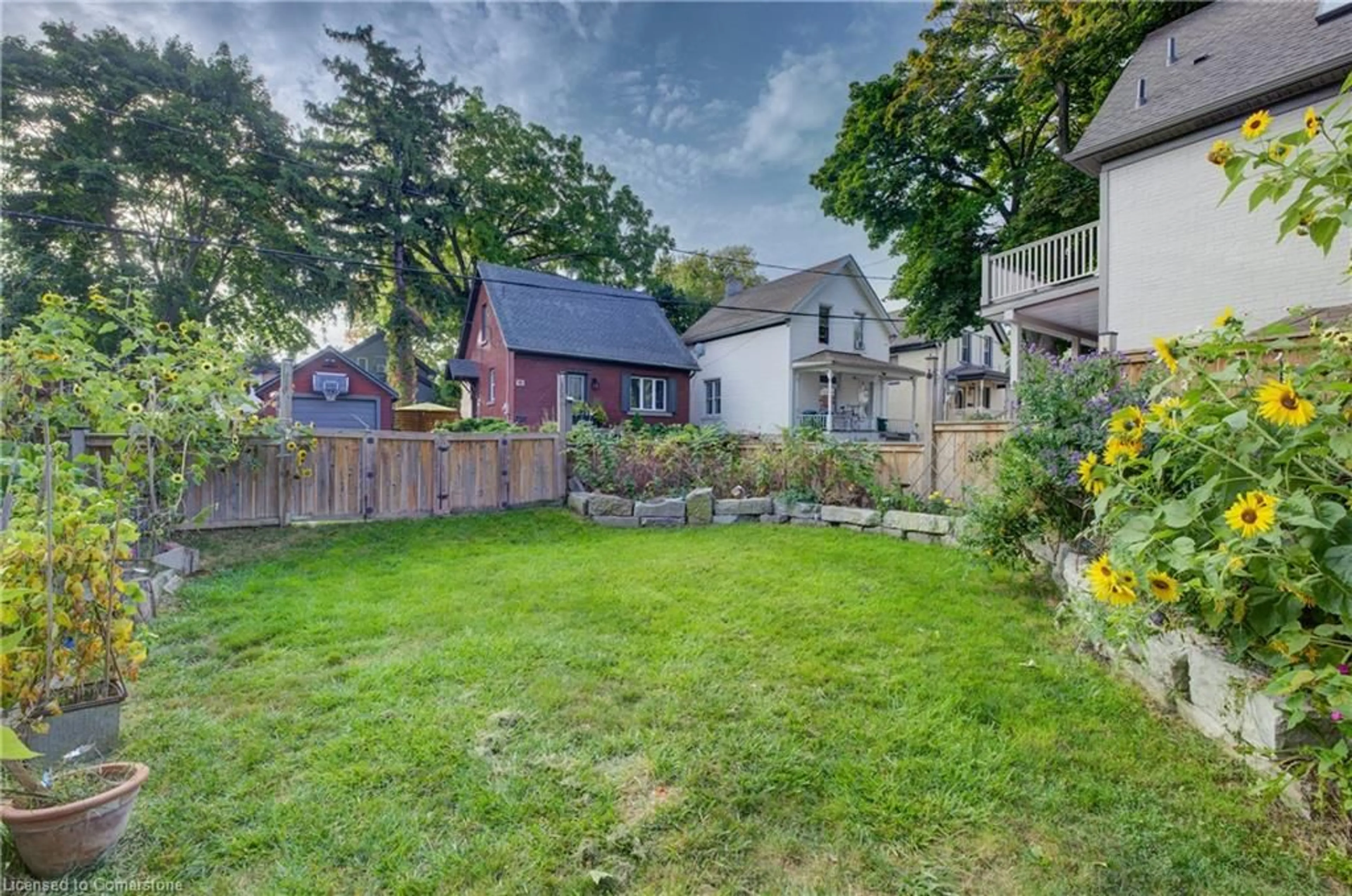 Frontside or backside of a home, the fenced backyard for 15 St Leger St, Kitchener Ontario N2H 4L8