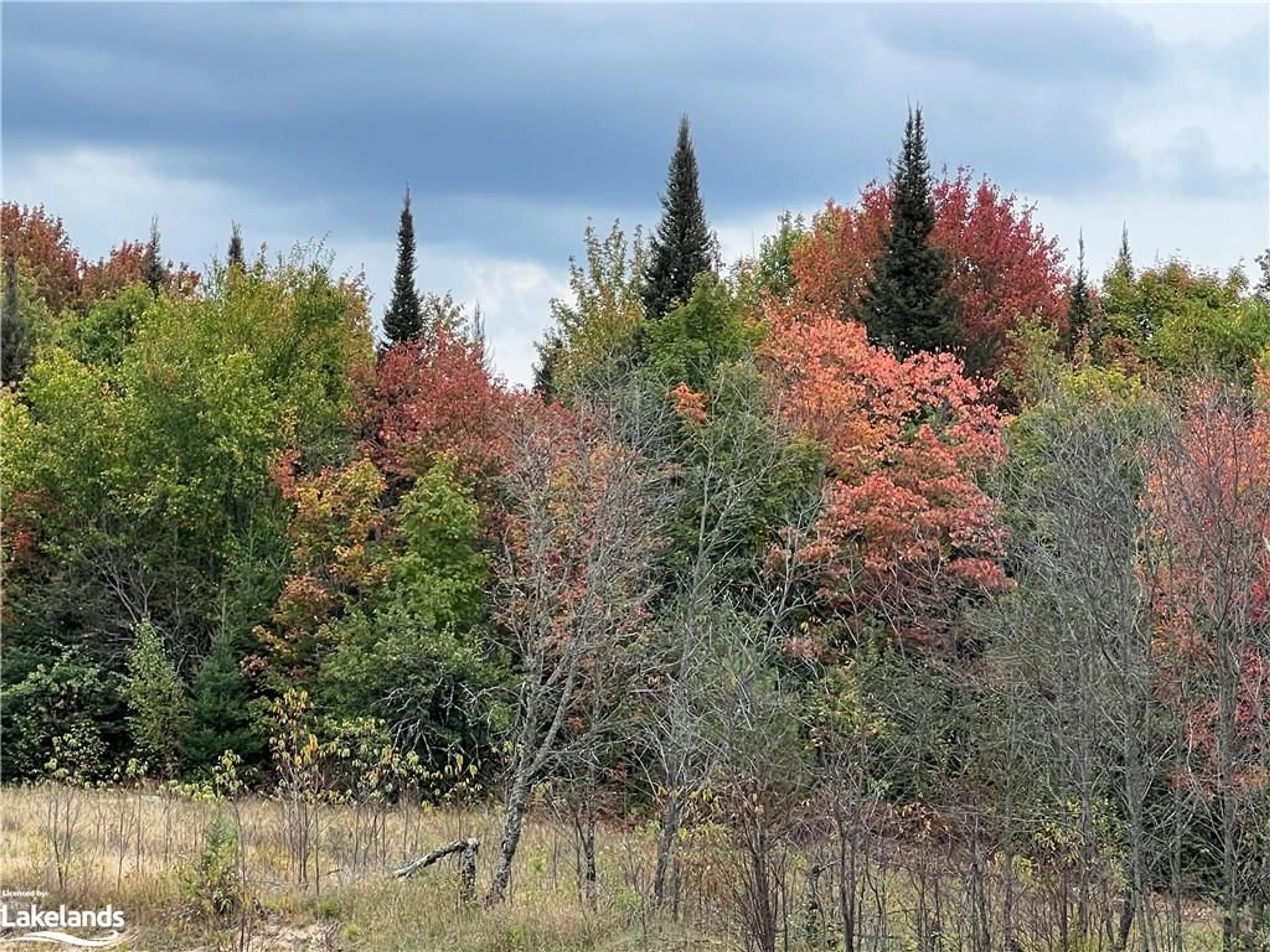 A pic from exterior of the house or condo, forest for 306 Goreville Road, South River Ontario P0A 1X0