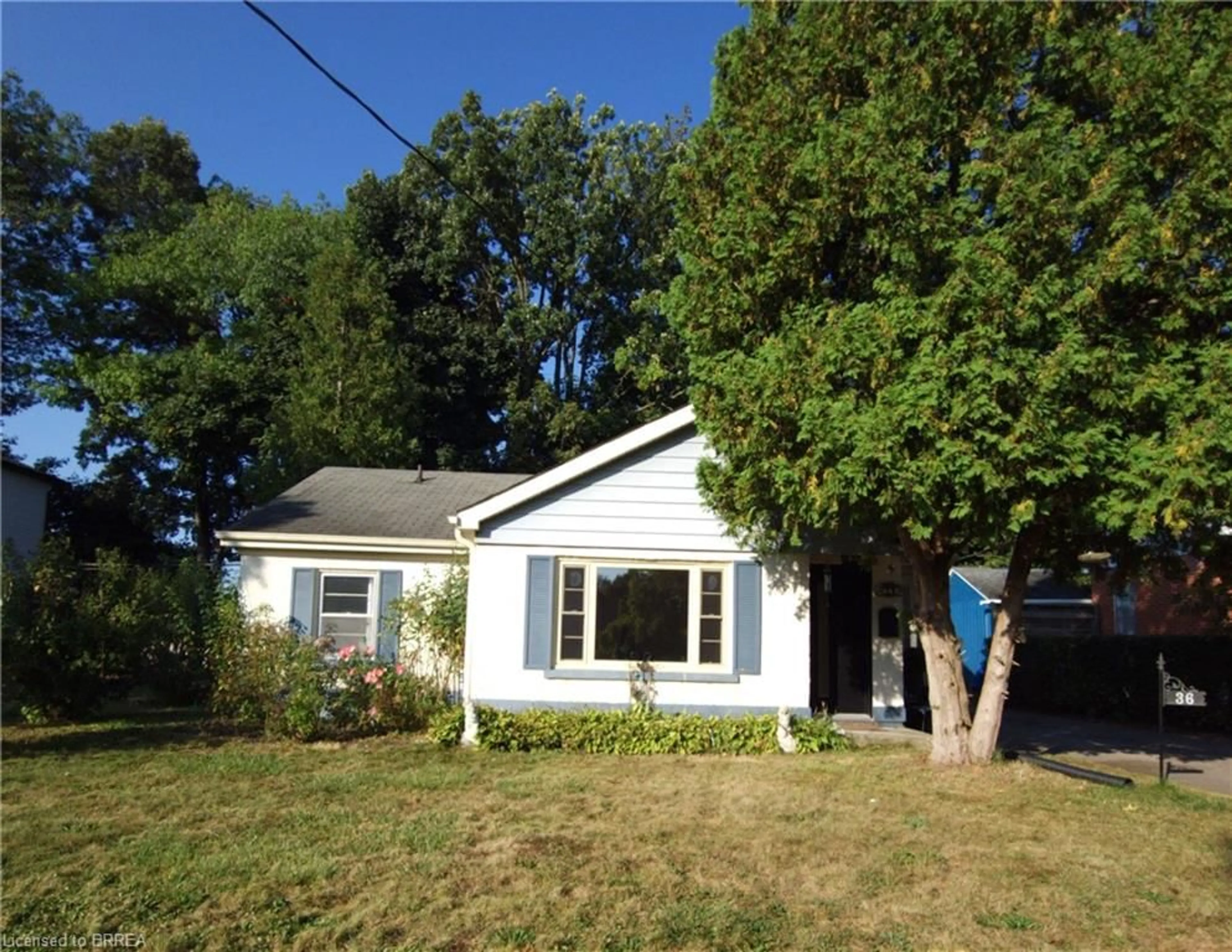 Frontside or backside of a home, cottage for 36 Dudhope Ave, Cambridge Ontario N1R 4T3