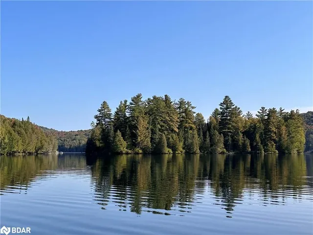 PT 41 Island Lake, Kearney 4
