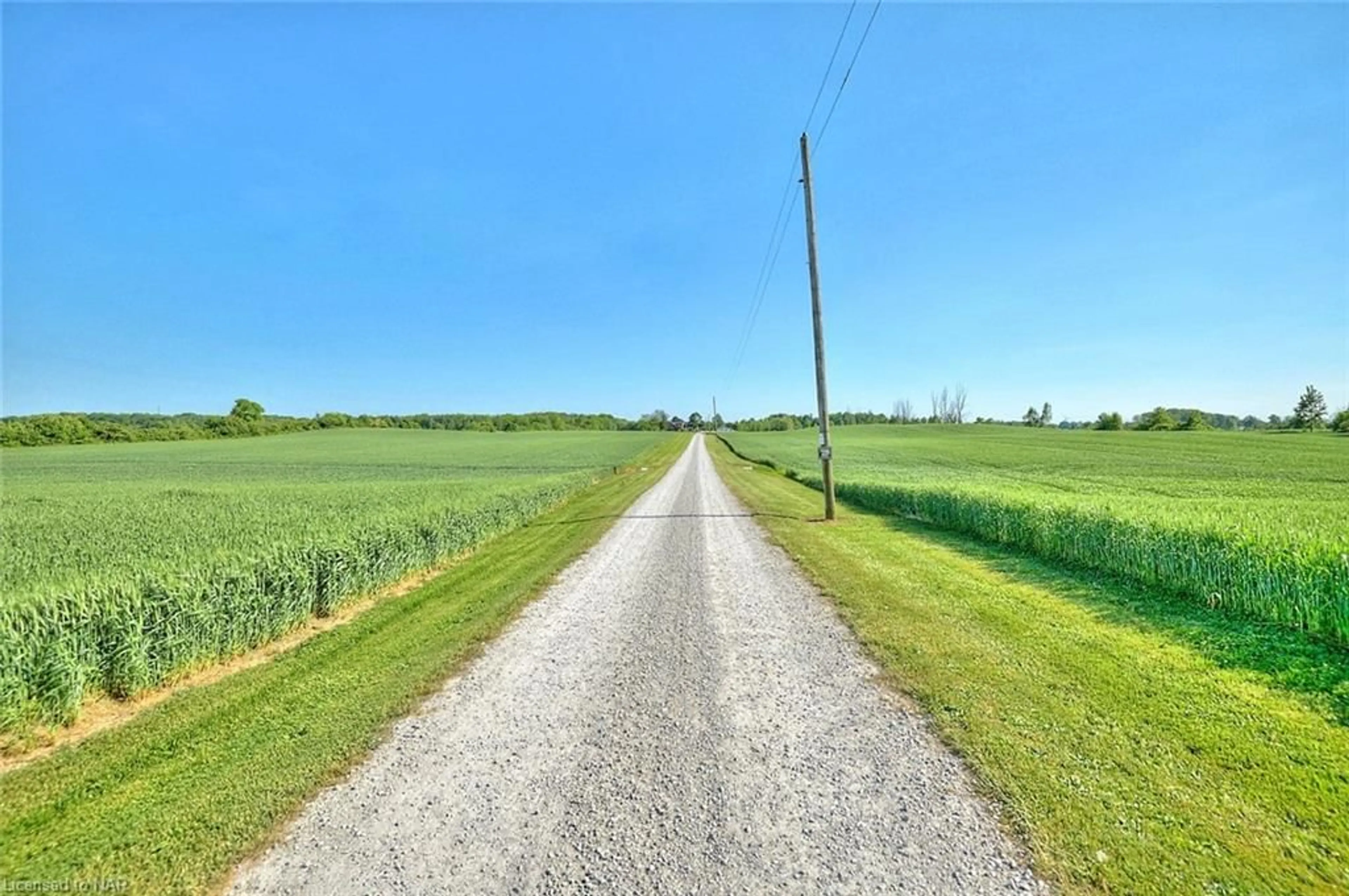 Patio, the street view for 858 Metler Rd, Fenwick Ontario L0S 1C0