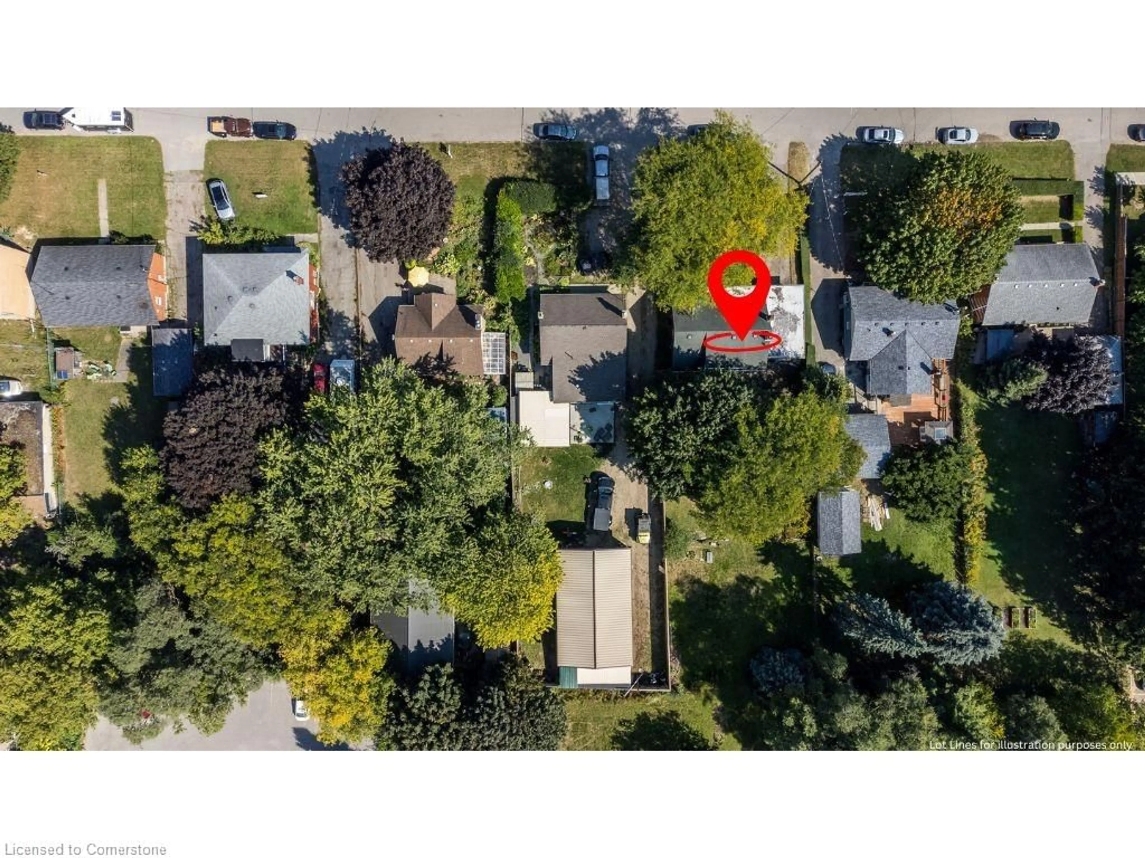 Frontside or backside of a home, the street view for 43 Turner Ave, Kitchener Ontario N2B 2C8