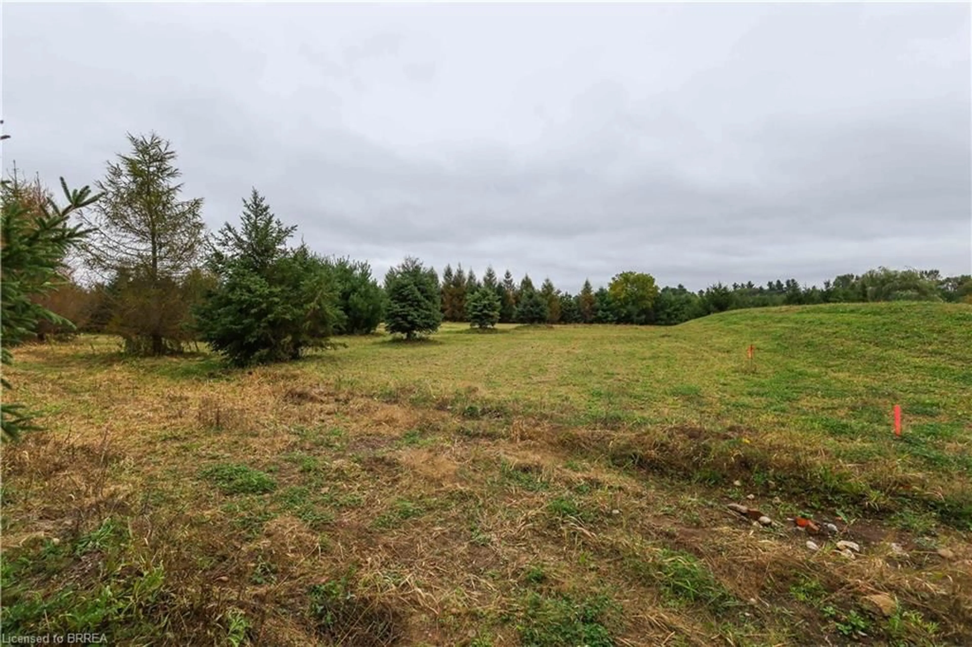 Fenced yard for 38B Highway 24, Scotland Ontario N0E 1R0