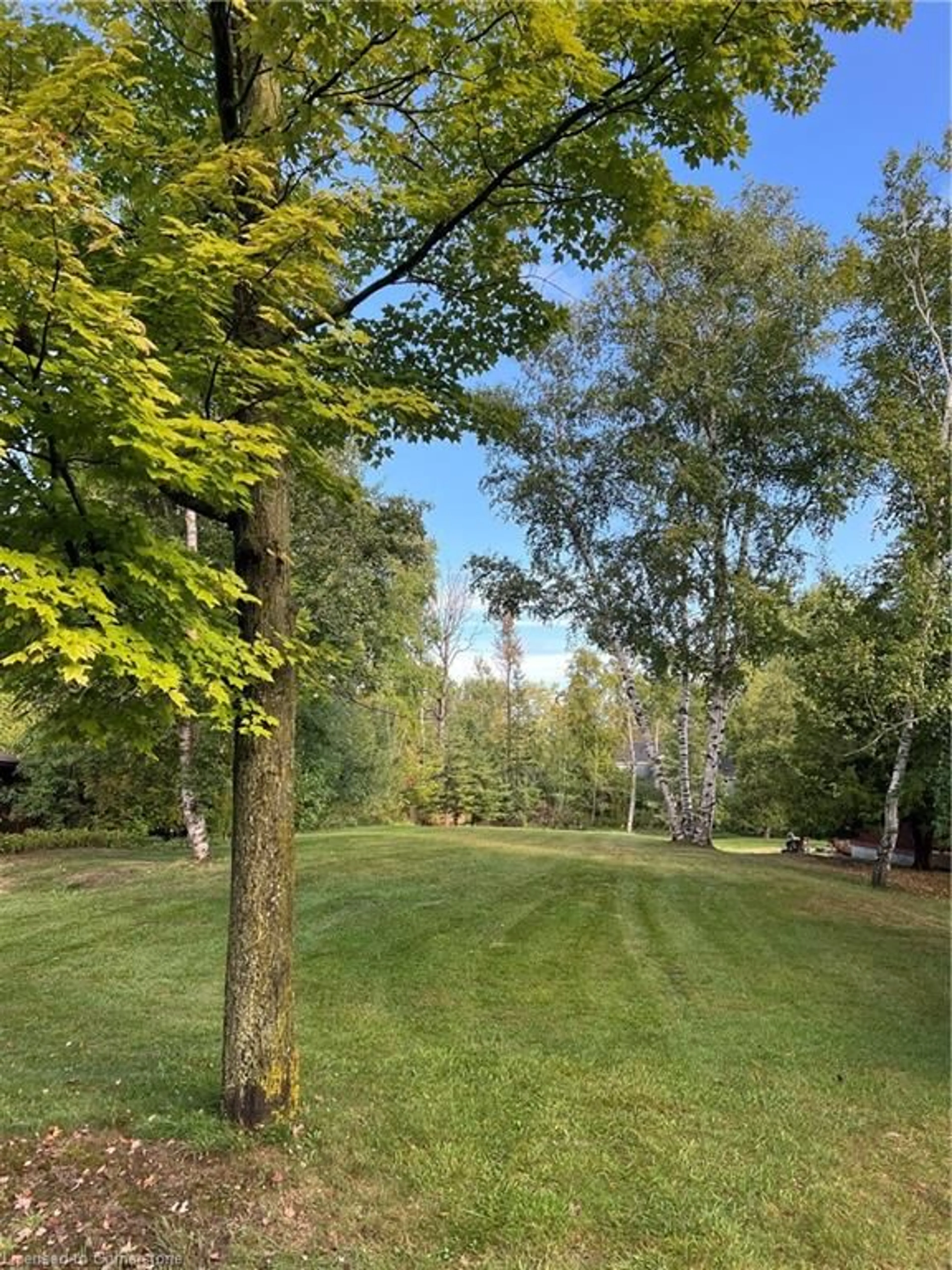 A pic from exterior of the house or condo, the fenced backyard for 183 Timmons St, The Blue Mountains Ontario L9Y 0L2