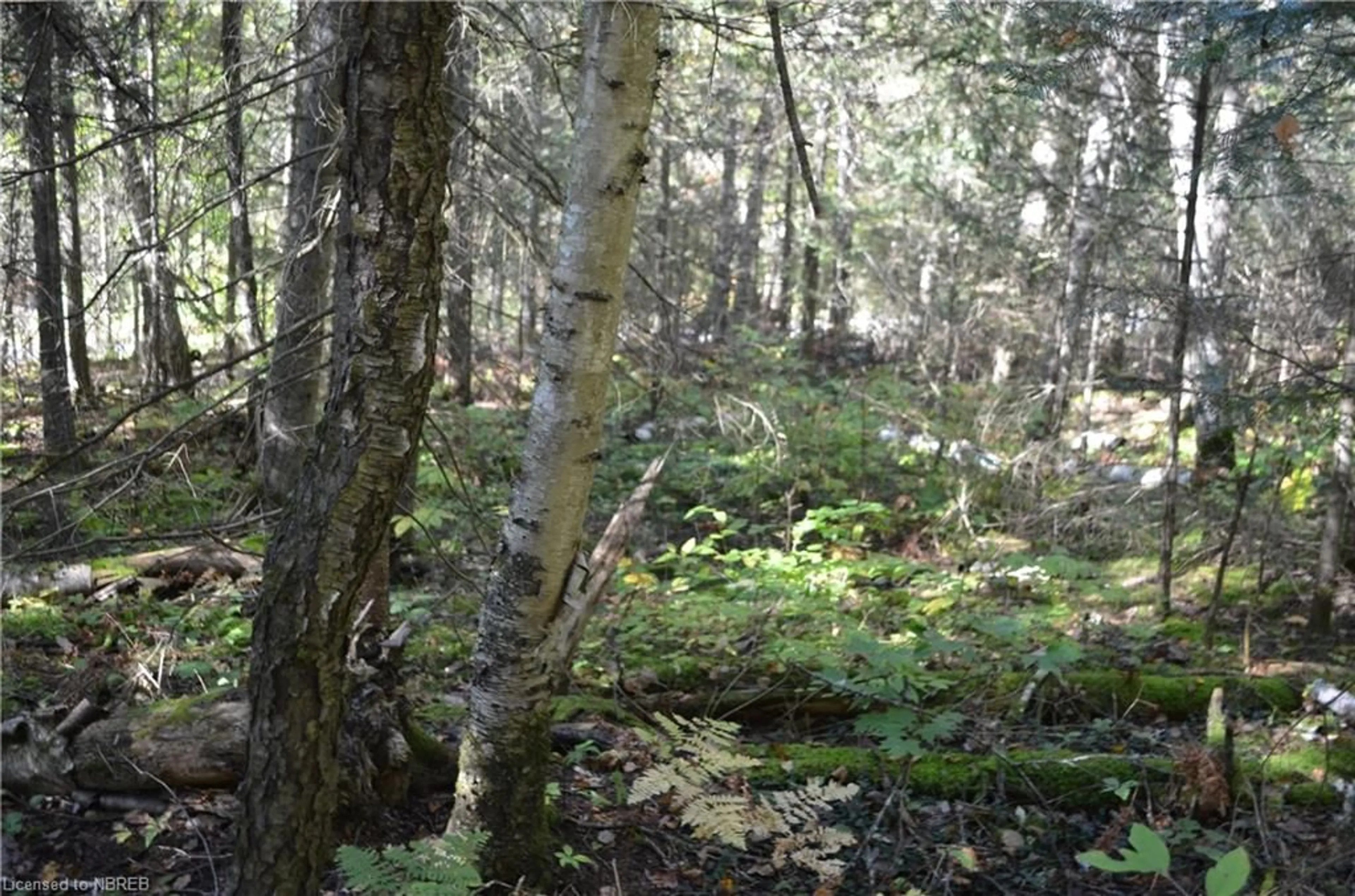 A pic of a room, unknown floor for 341 Main Street, Trout Creek Ontario P0H 2L0