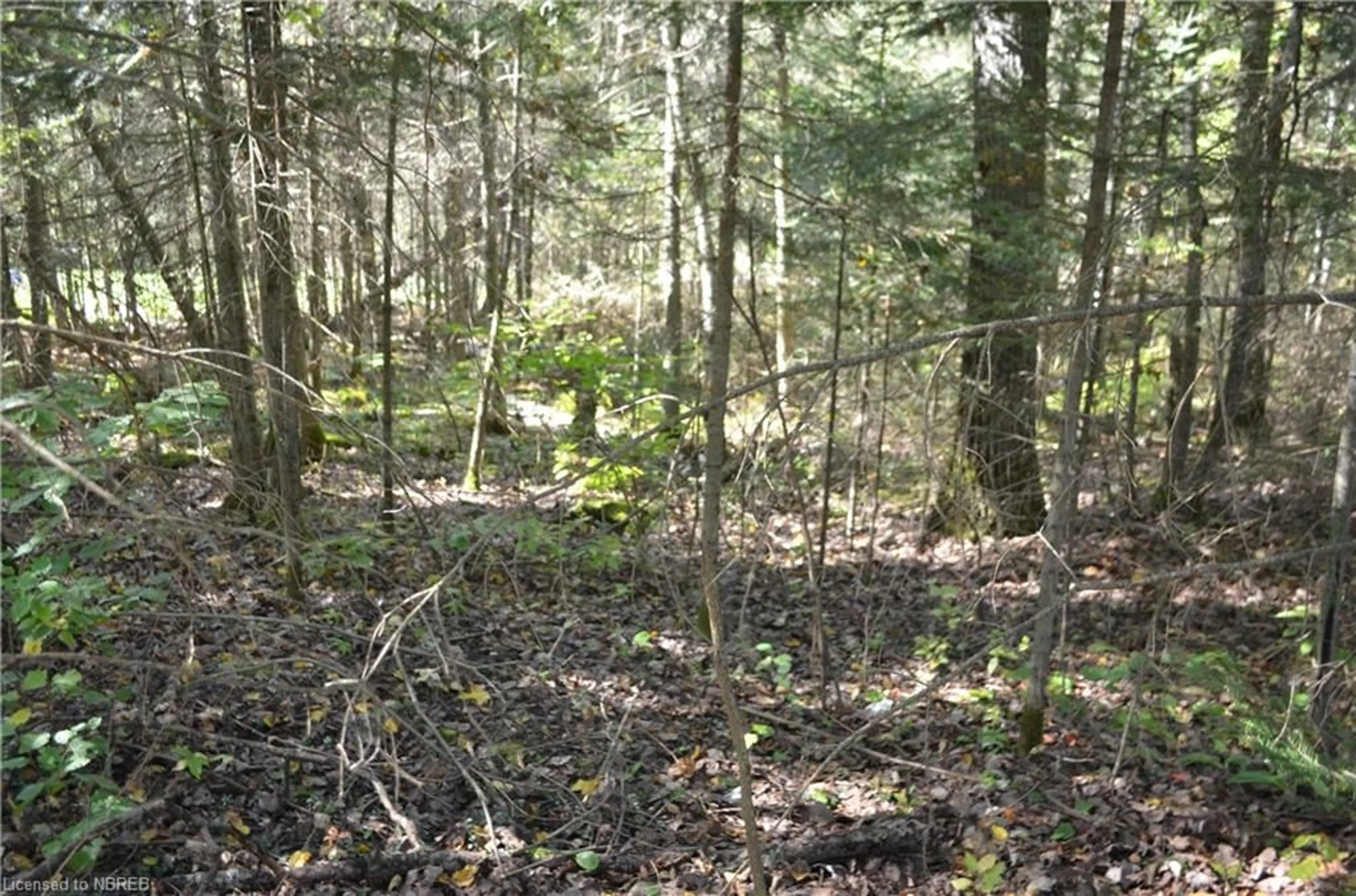 A pic of a room, unknown floor for 341 Main Street, Trout Creek Ontario P0H 2L0