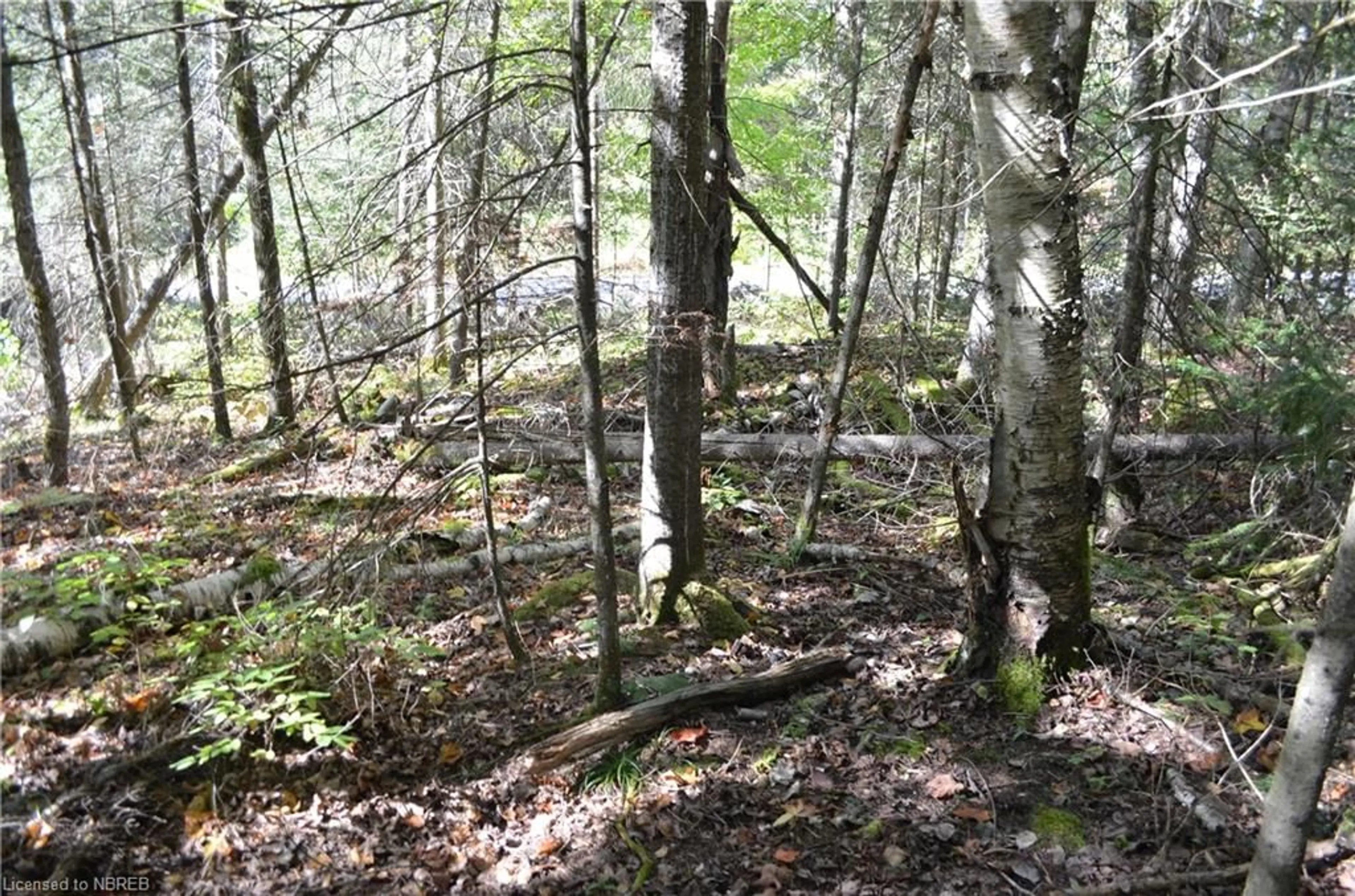 A pic of a room, unknown floor for 341 Main Street, Trout Creek Ontario P0H 2L0