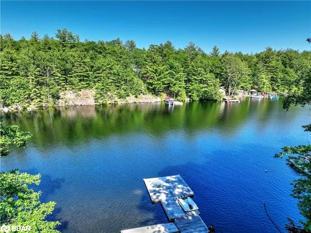 99 Fire Route 394, Trent Lakes 5