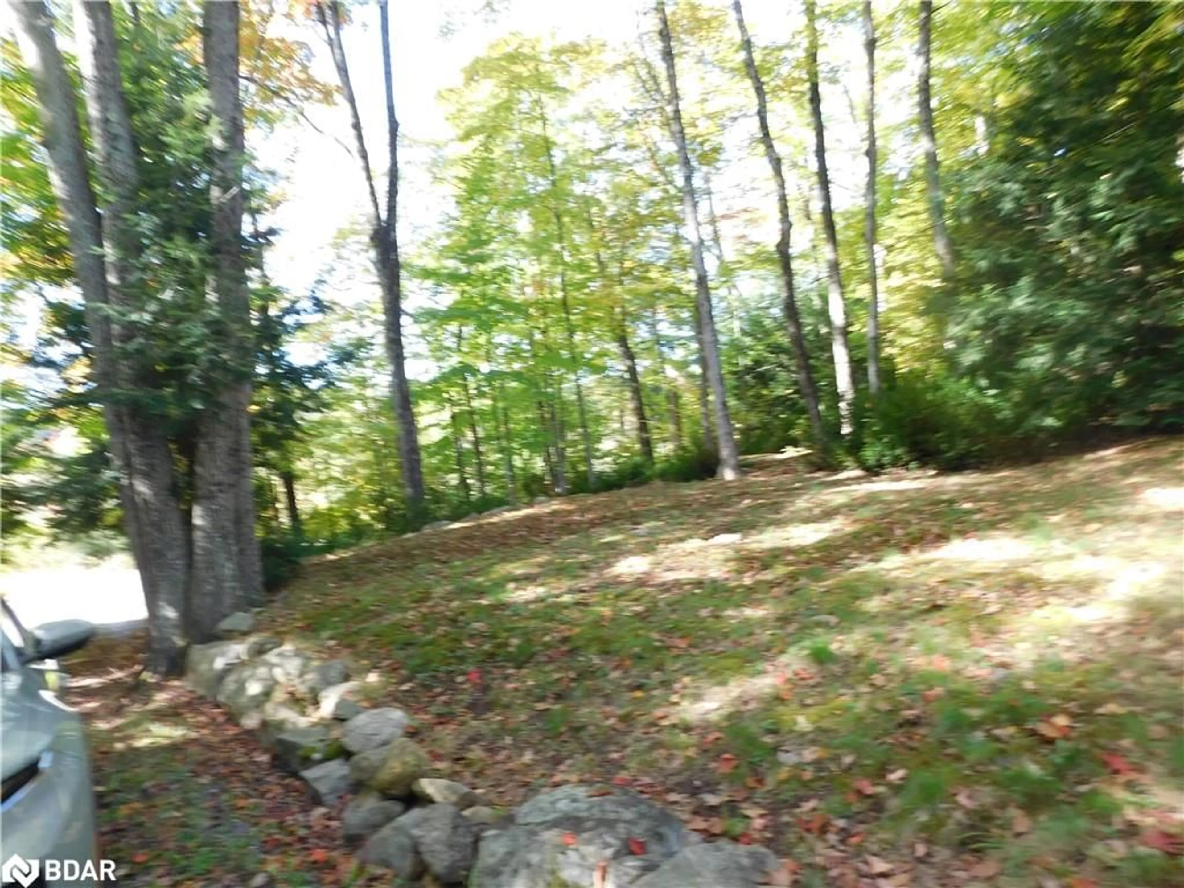 Patio, the fenced backyard for 1141 Torrance Road Rd, Torrance Ontario P0C 1M0