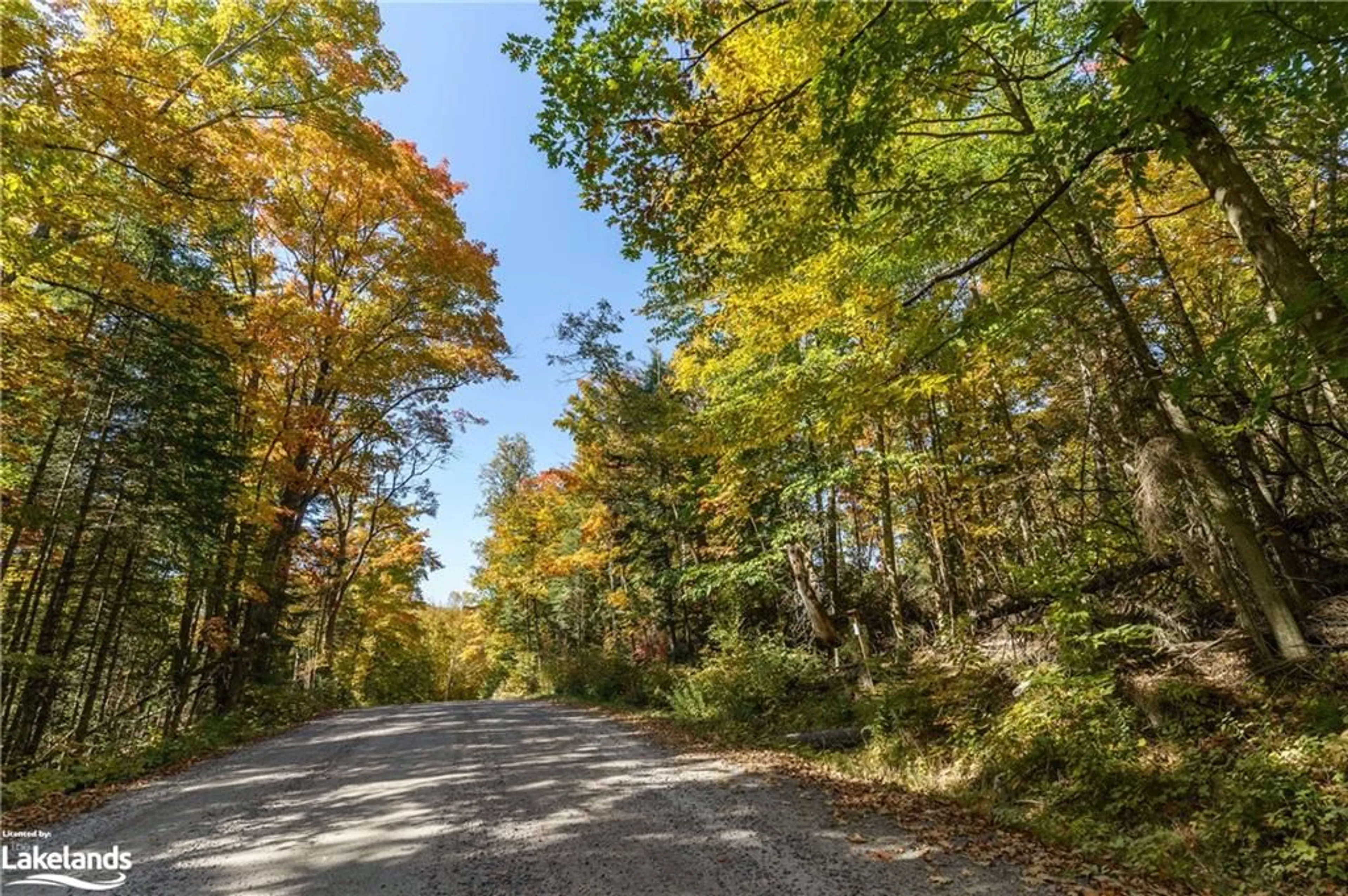 A pic from exterior of the house or condo, the street view for LOT 1 Dwight Beach Rd, Dwight Ontario P0A 1H0