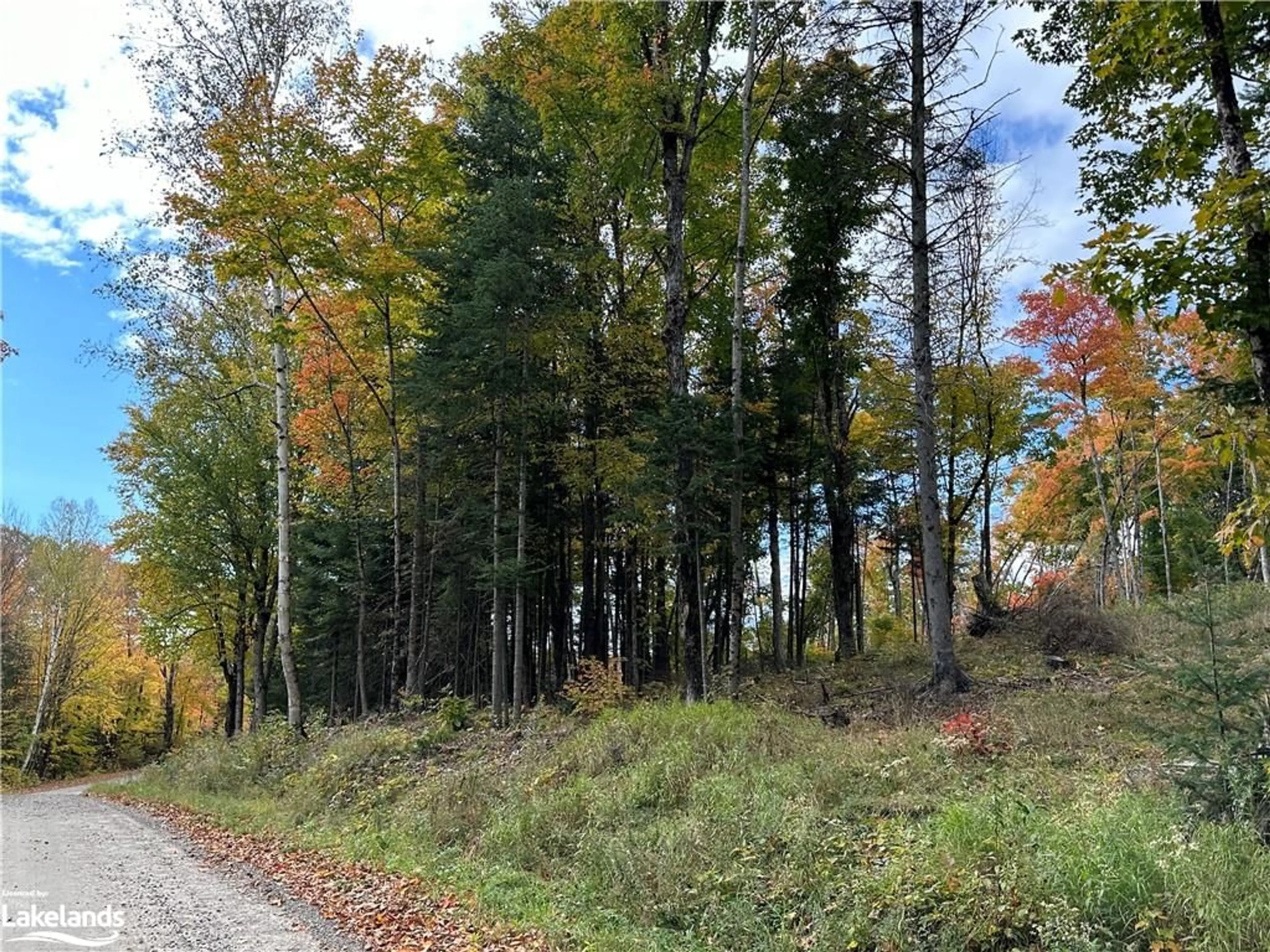 A pic from exterior of the house or condo, forest for LOT 1 Dwight Beach Rd, Dwight Ontario P0A 1H0