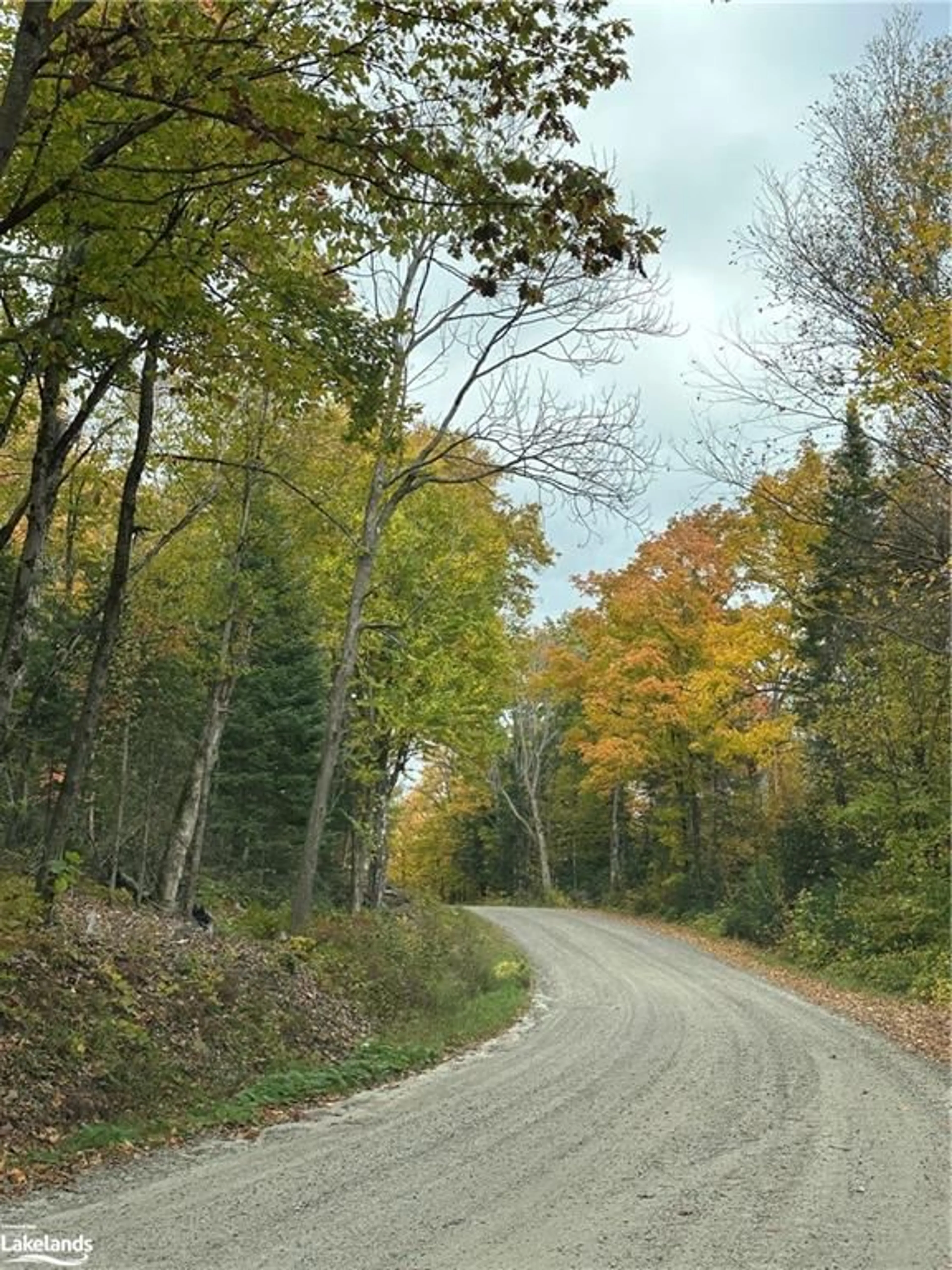 A pic from exterior of the house or condo, the street view for LOT 1 Dwight Beach Rd, Dwight Ontario P0A 1H0