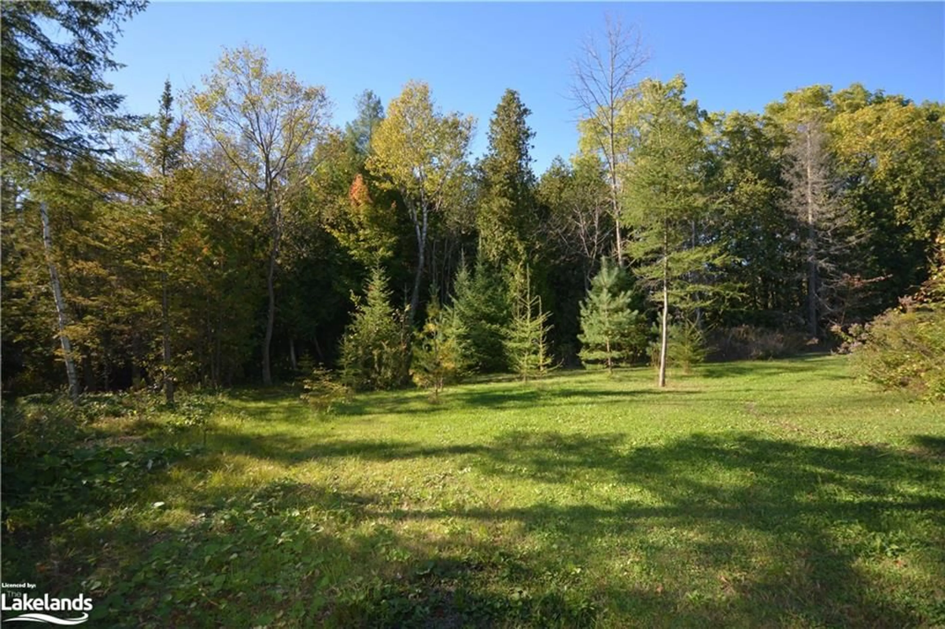 Forest view for 12536 Fifth Line Line, Milton Ontario N0B 2K0