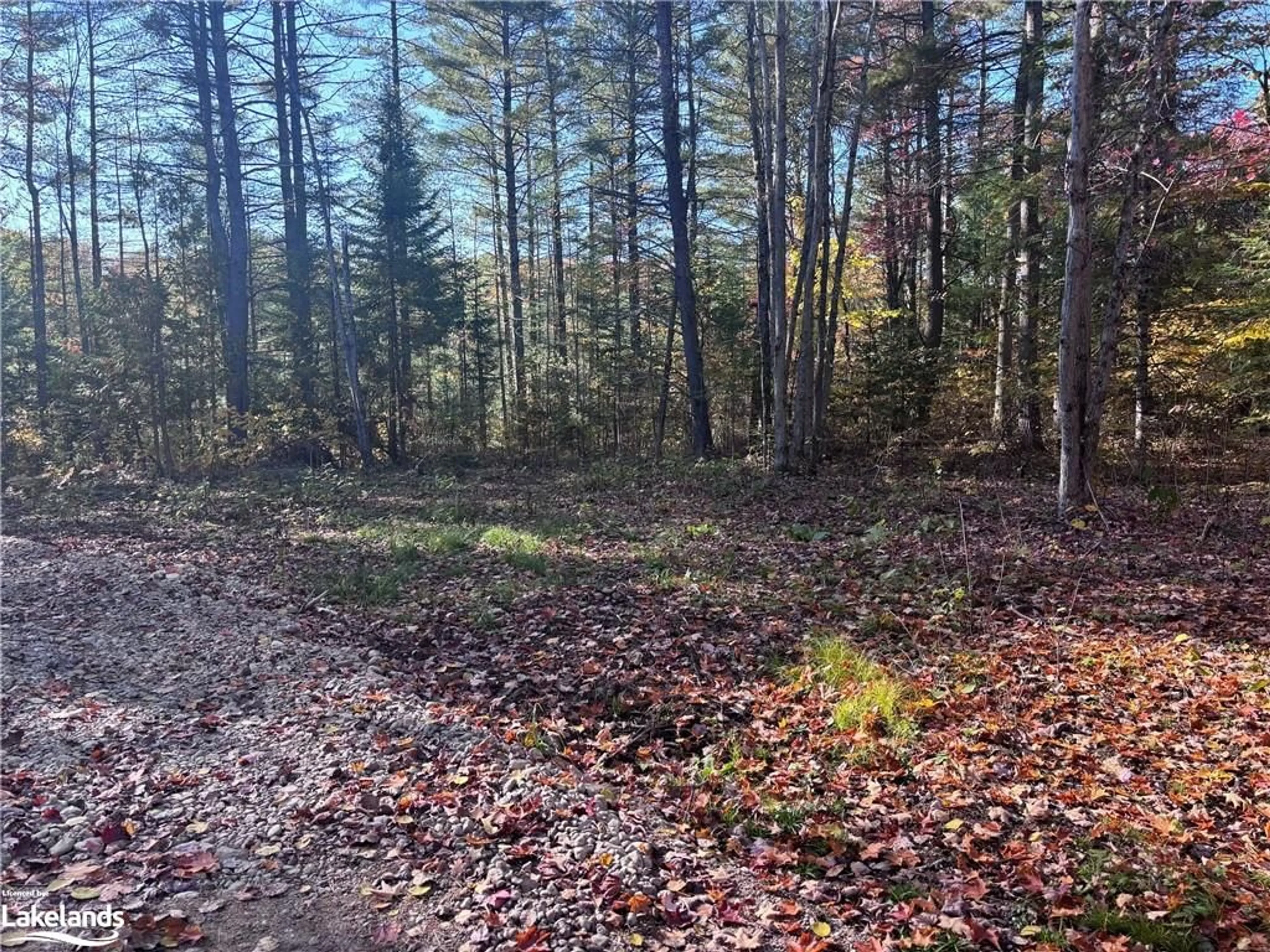 A pic of a room, unknown floor for LOT 4 N/A, Haliburton Ontario K0M 1J2