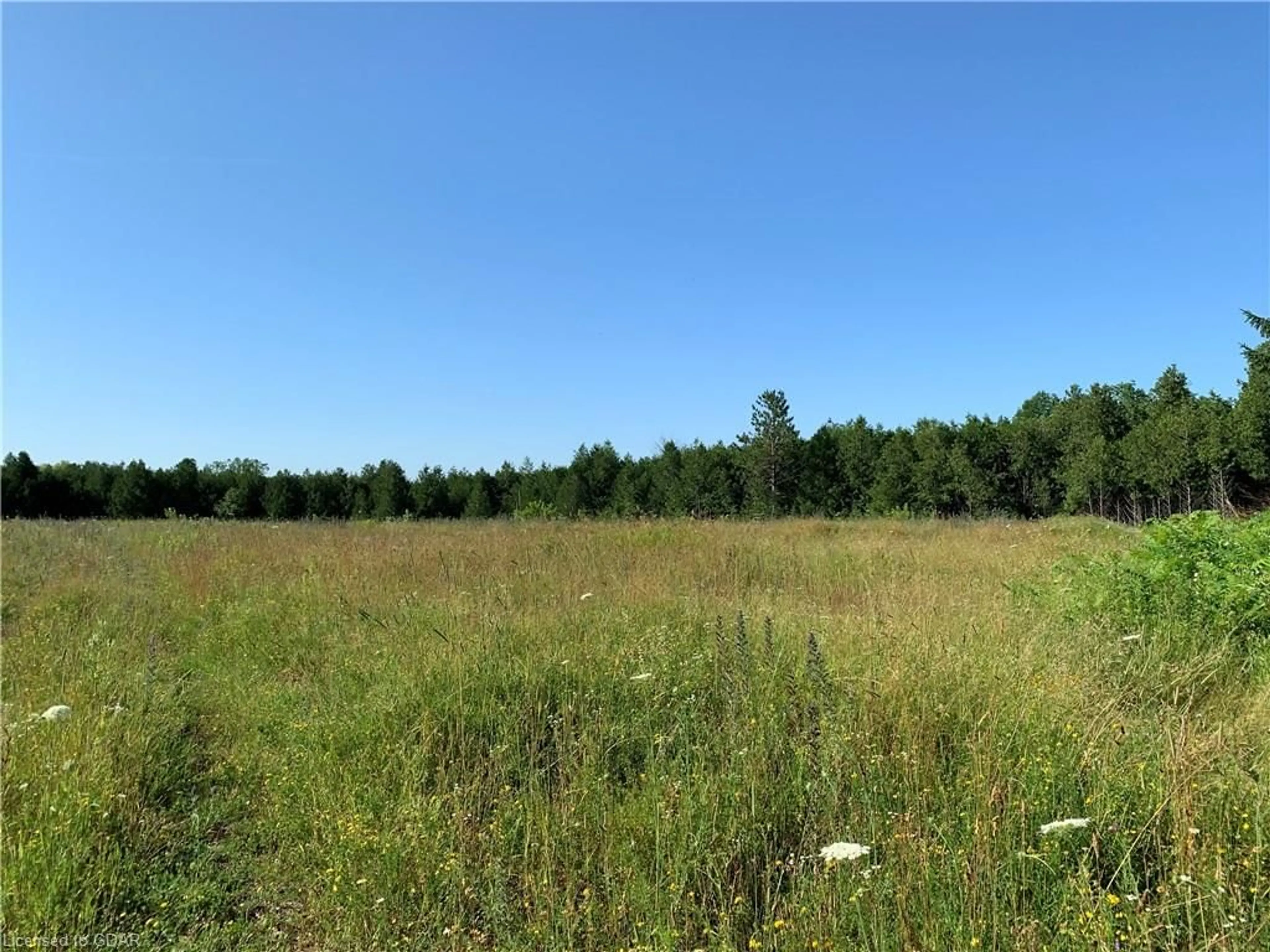 Forest view for 755 Stone Rd, Guelph Ontario N1L 1B8