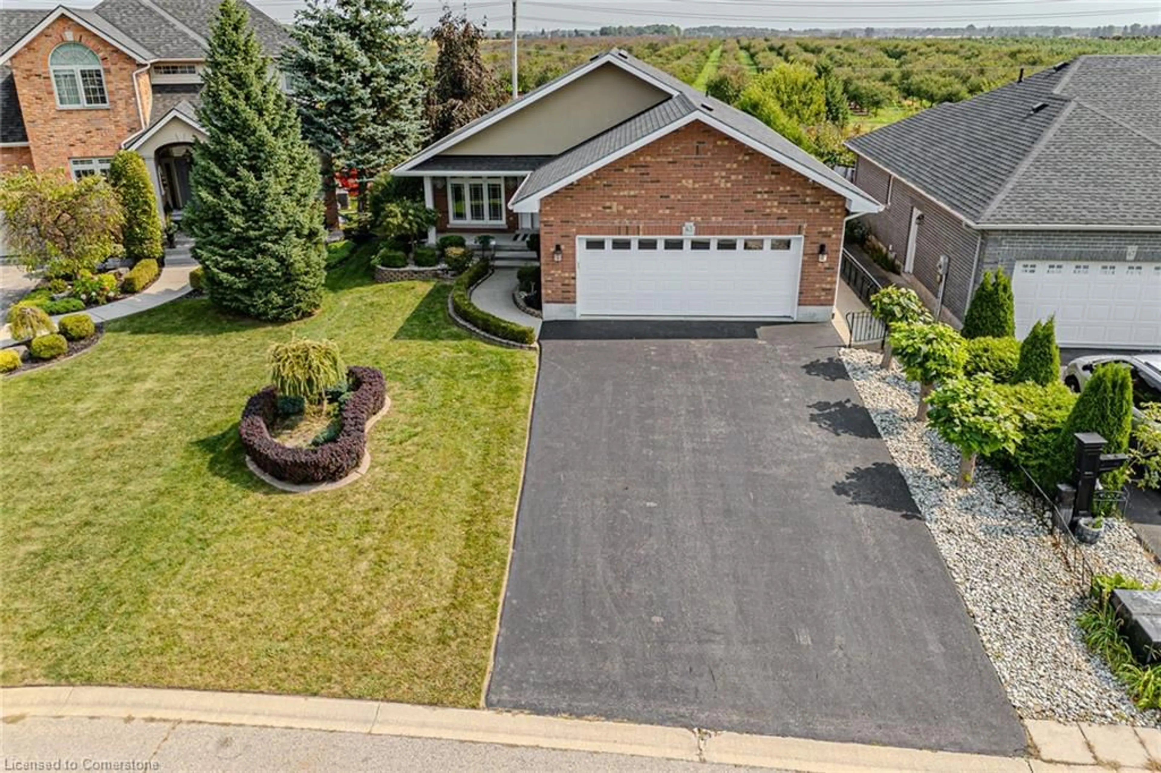 Frontside or backside of a home, the street view for 65 Mann Ave, Simcoe Ontario N3Y 5J2