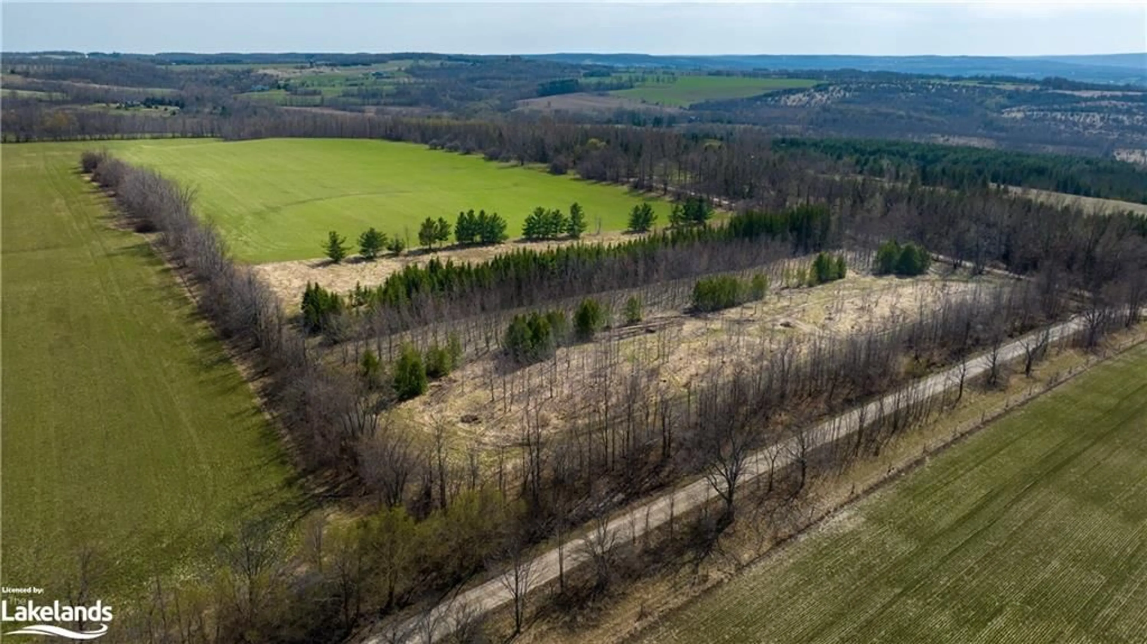 Forest view for LOT 17-18 6th Line, The Blue Mountains Ontario N0H 1J0