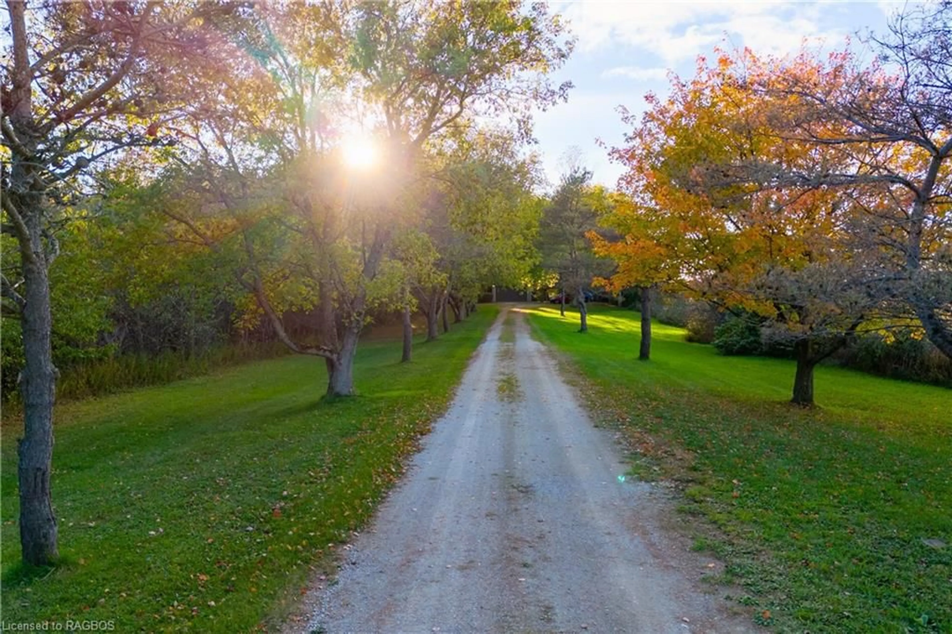 Patio, the street view for 559146 Irish Block Rd, Annan Ontario N0H 1B0