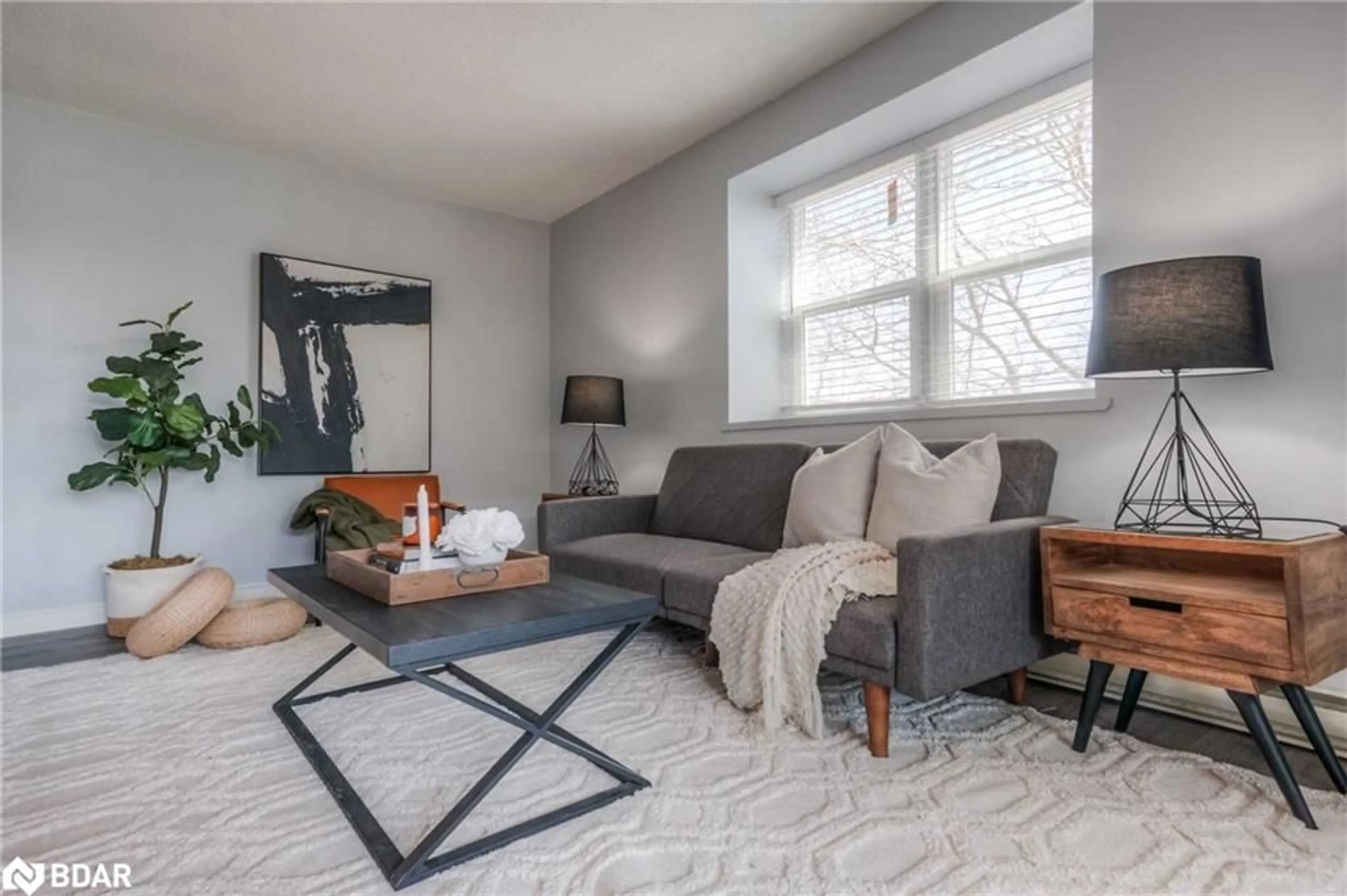 Living room, carpet floors for 83 Westmount Rd #2, Waterloo Ontario N2L 5G5