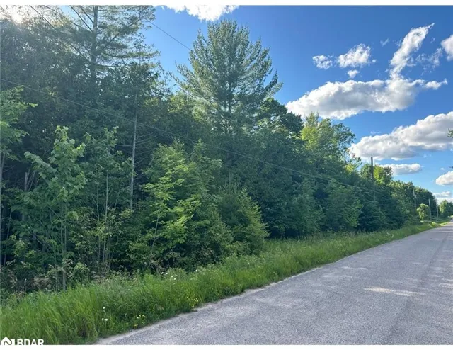 35 Viewmount Ave, Trent Hills
