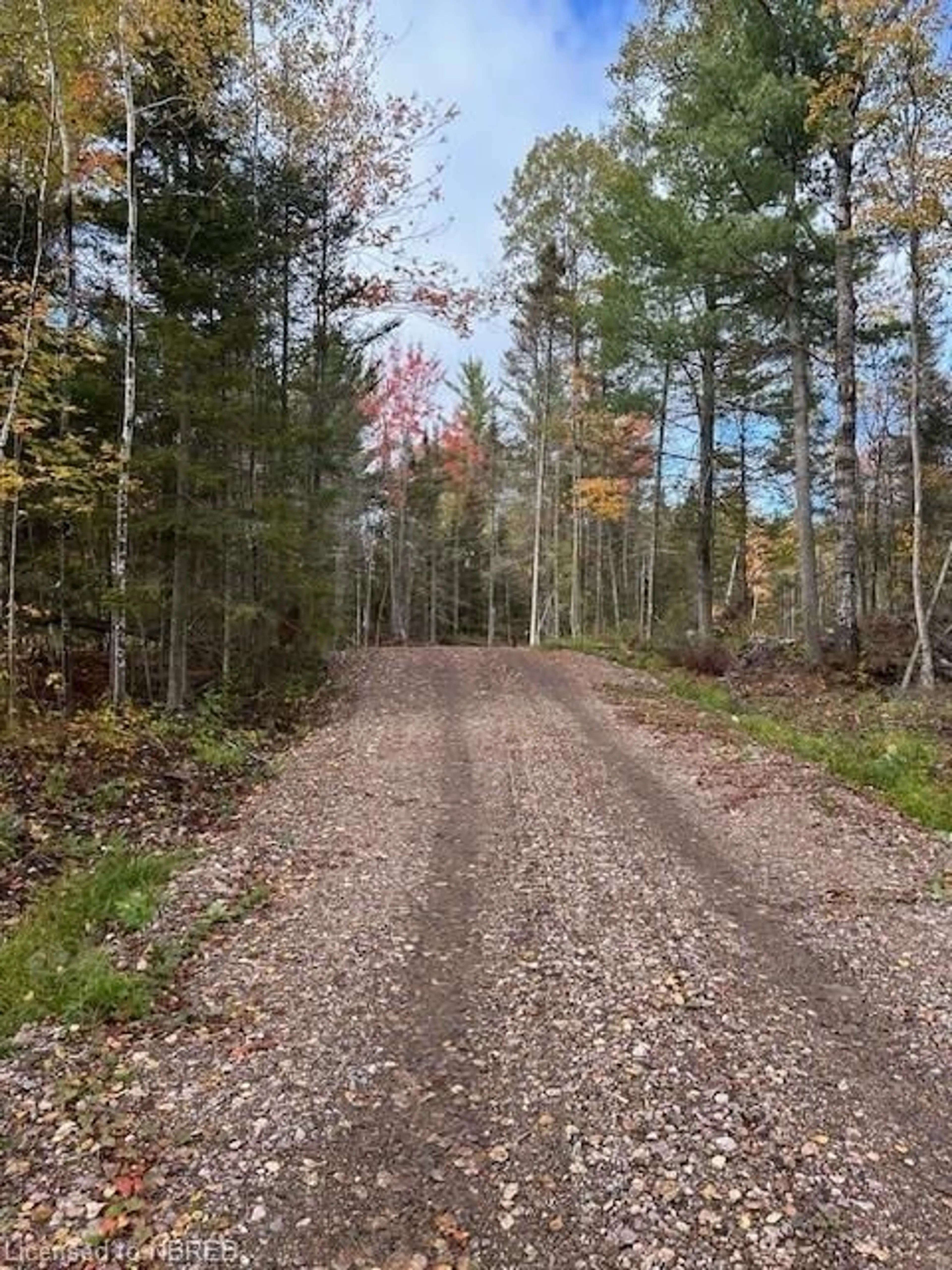 A pic of a room, unknown floor for 1300 Papineau Rd, Mattawa Ontario P0H 1V0