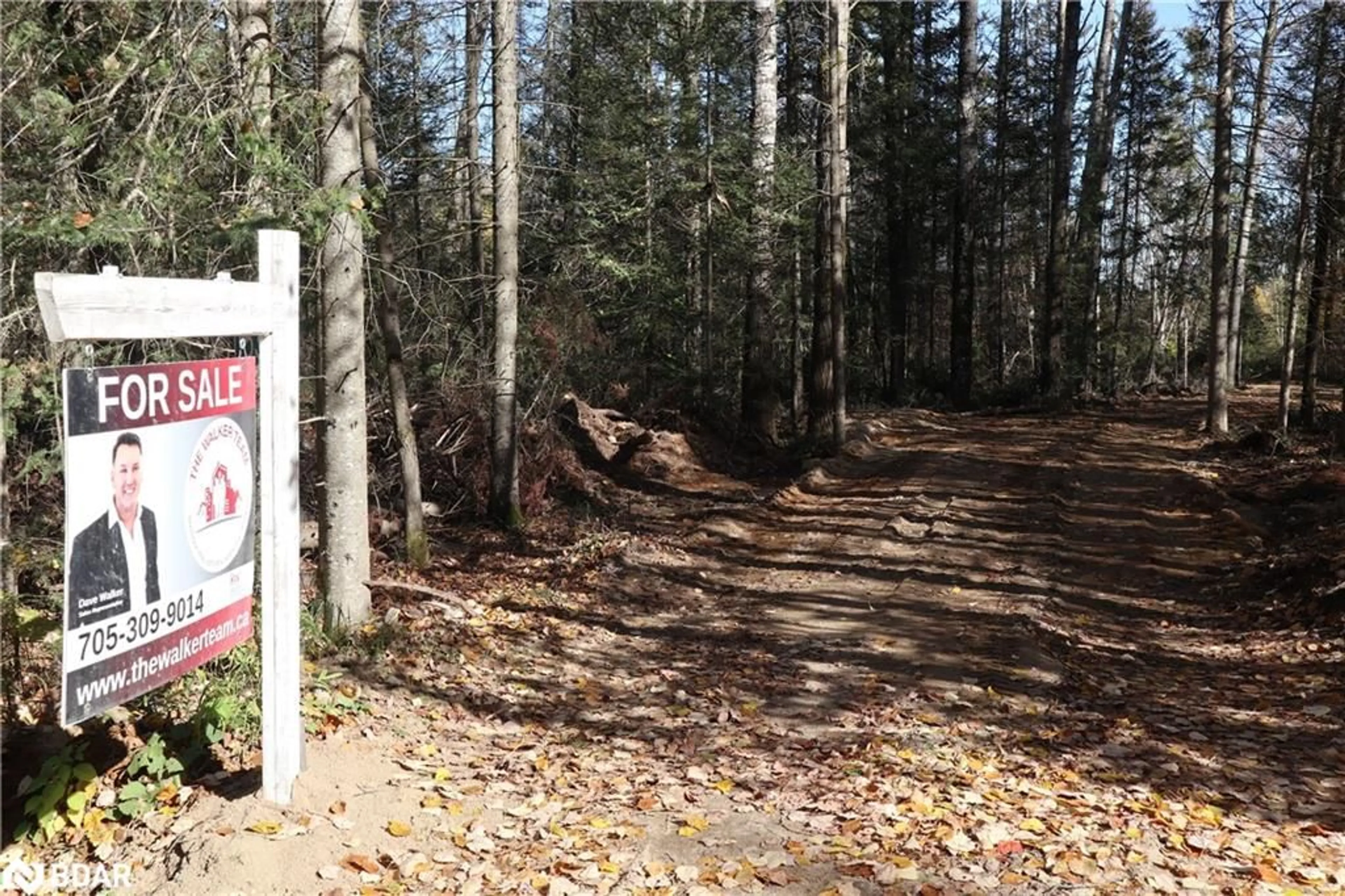 A pic from exterior of the house or condo, forest for 153 Joly Strong Rd, Sundridge Ontario P0A 1Z0