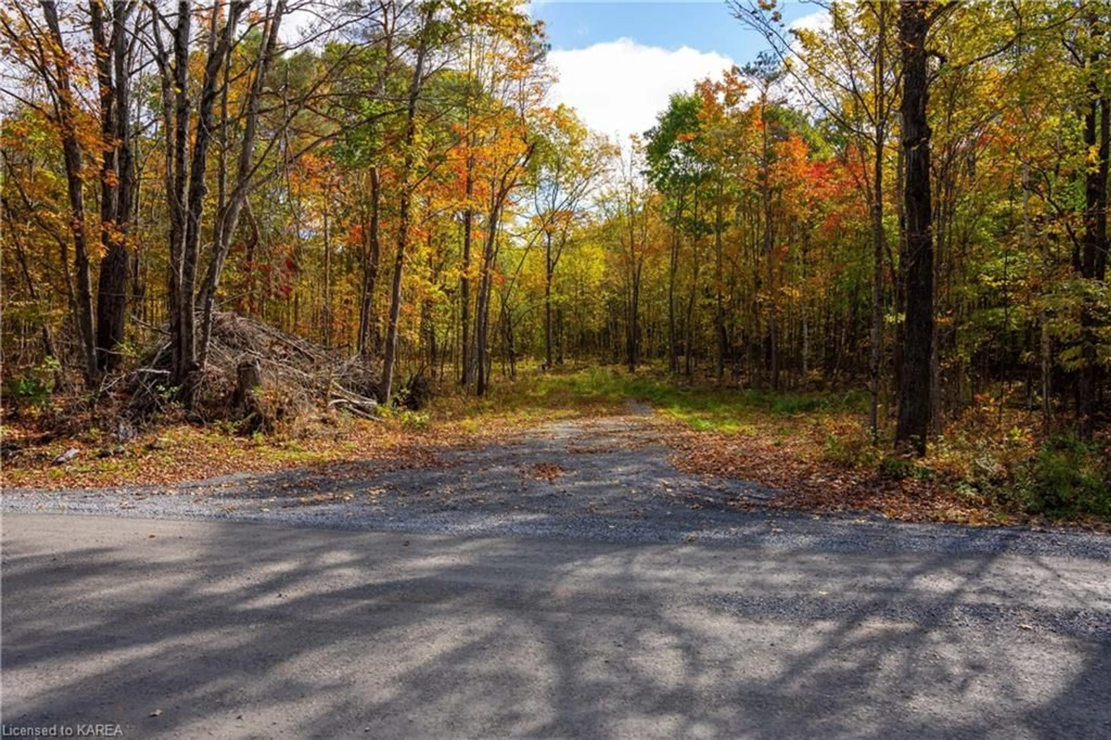 Patio, forest for PT LOTS 12 & 13 Devil Lake Rd, South Frontenac Ontario K0G 1X0