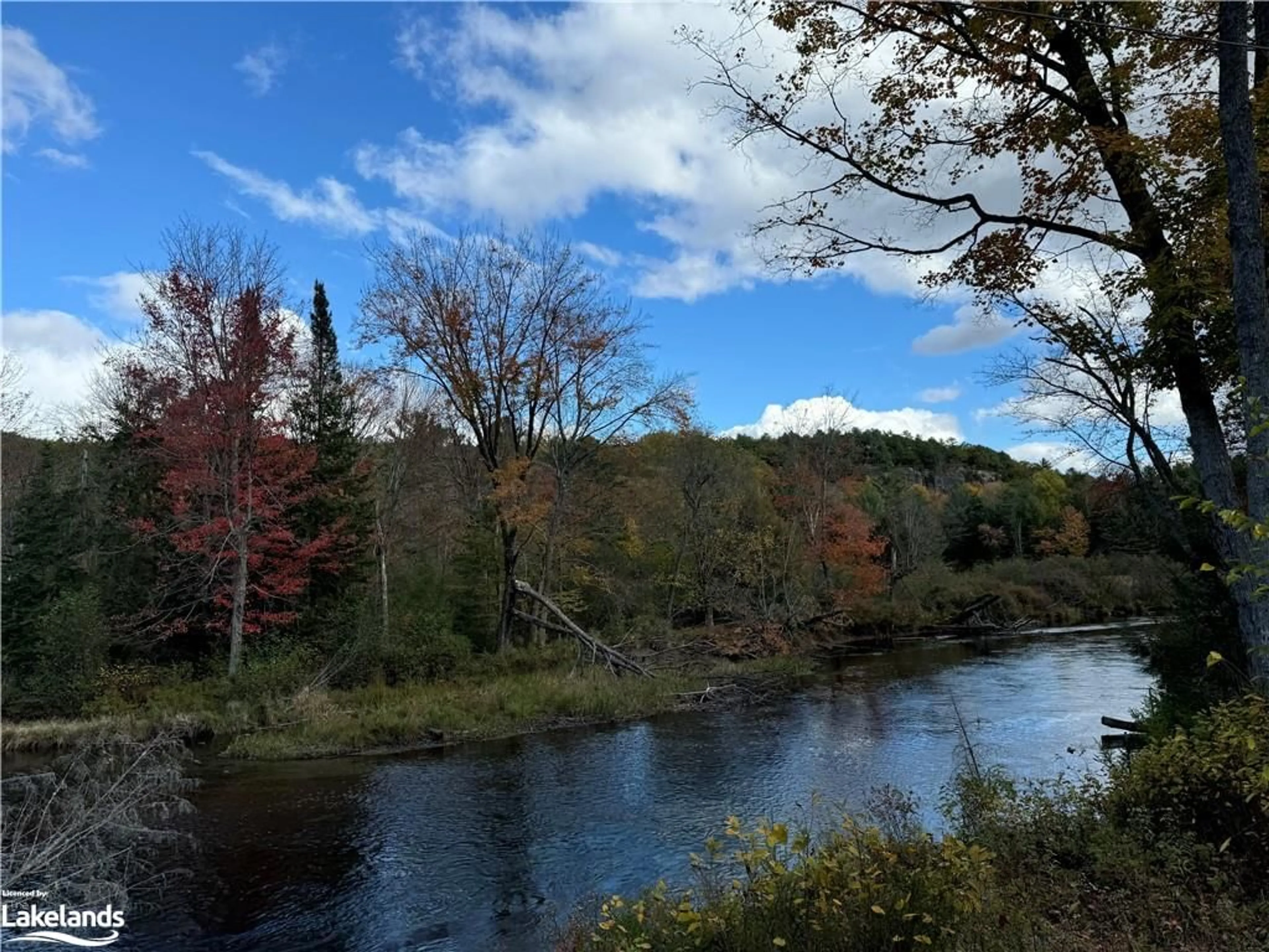 A pic of a room for LOT 6 N/A, Haliburton Ontario K0M 1J2