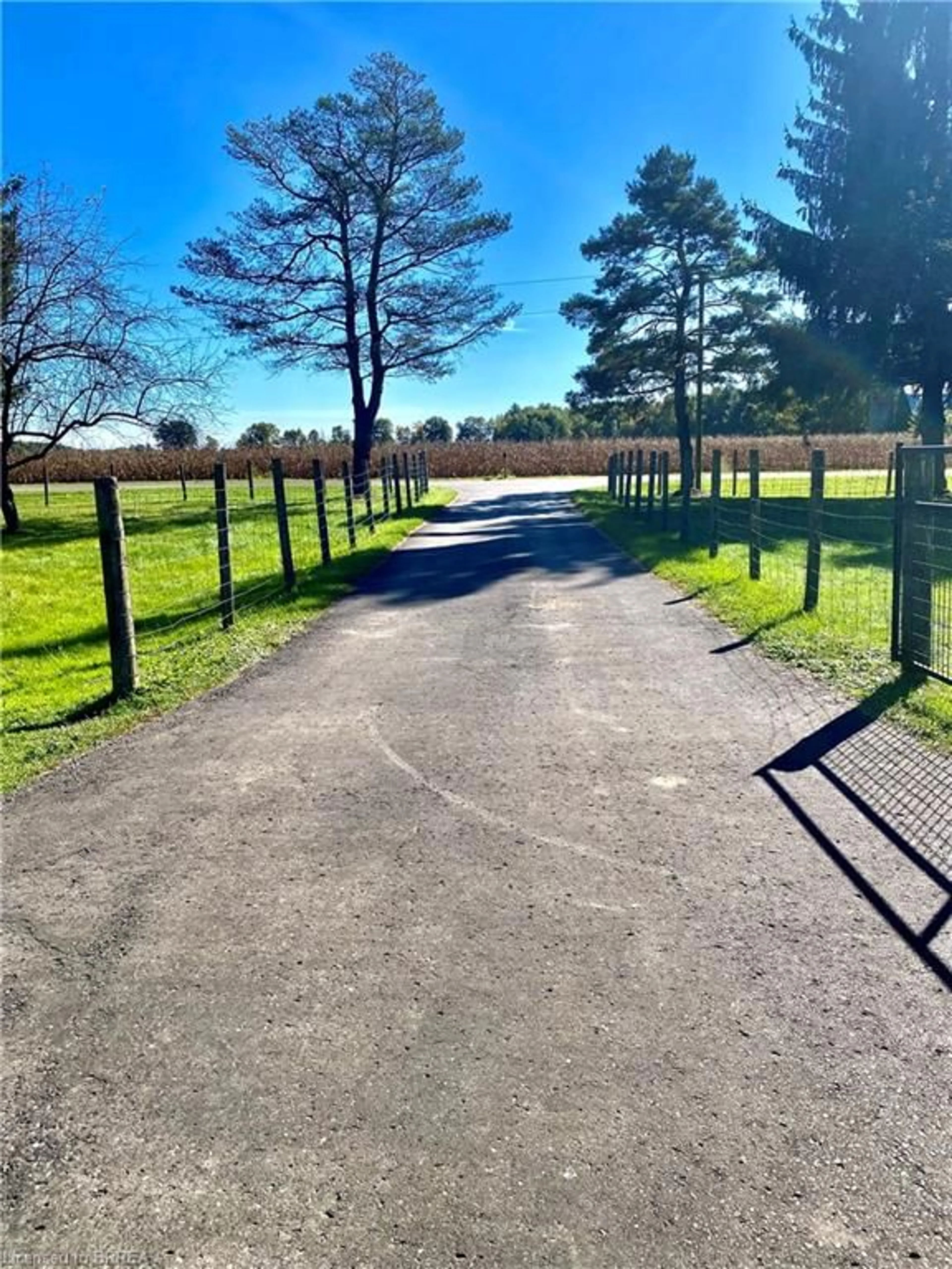 Patio, the fenced backyard for 1163 Concession 7 Rd, Townsend Ontario N0E 1Y0