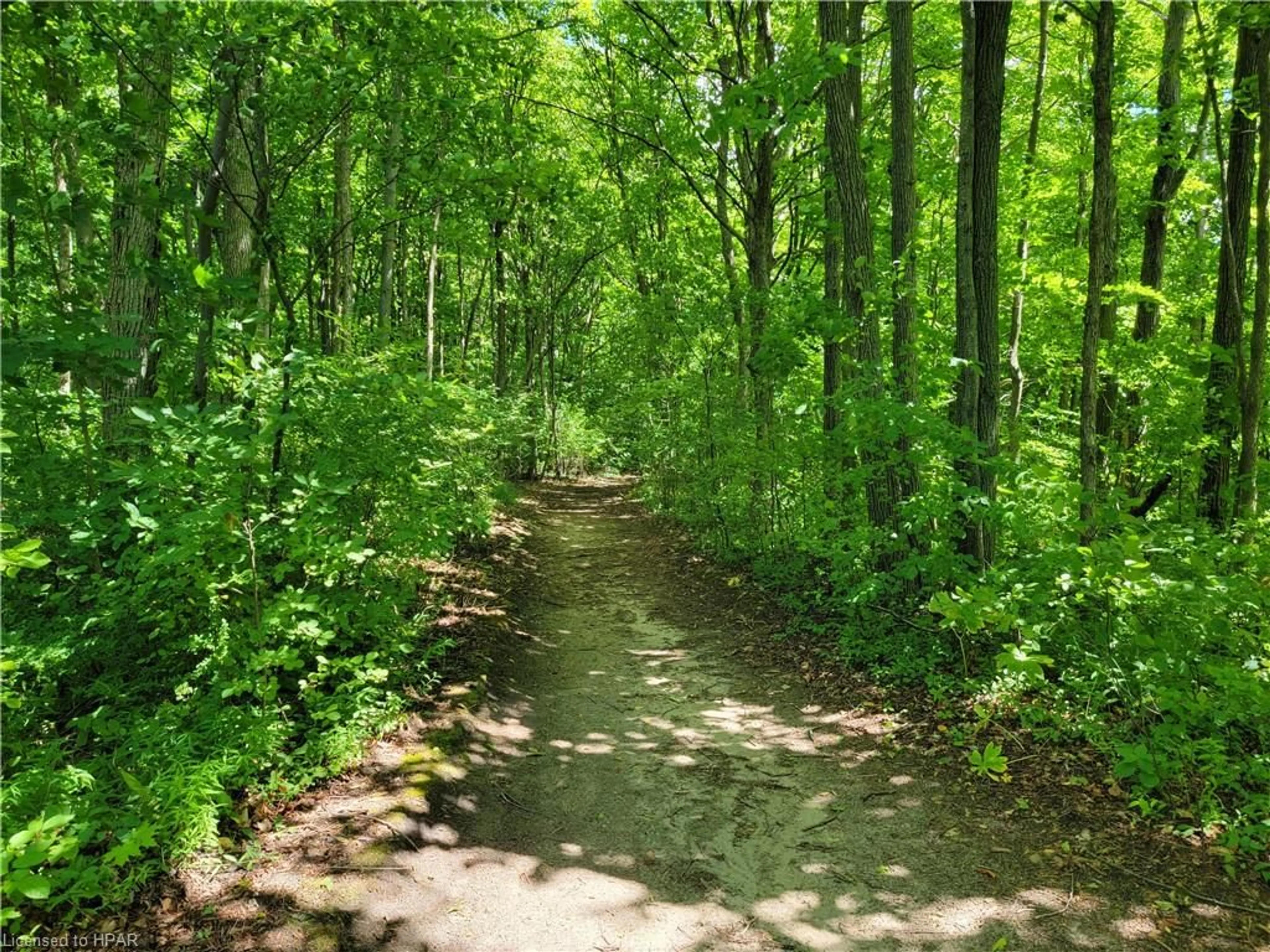 Patio, forest for 74730 Elm Crescent, Zurich Ontario N0M 1G0