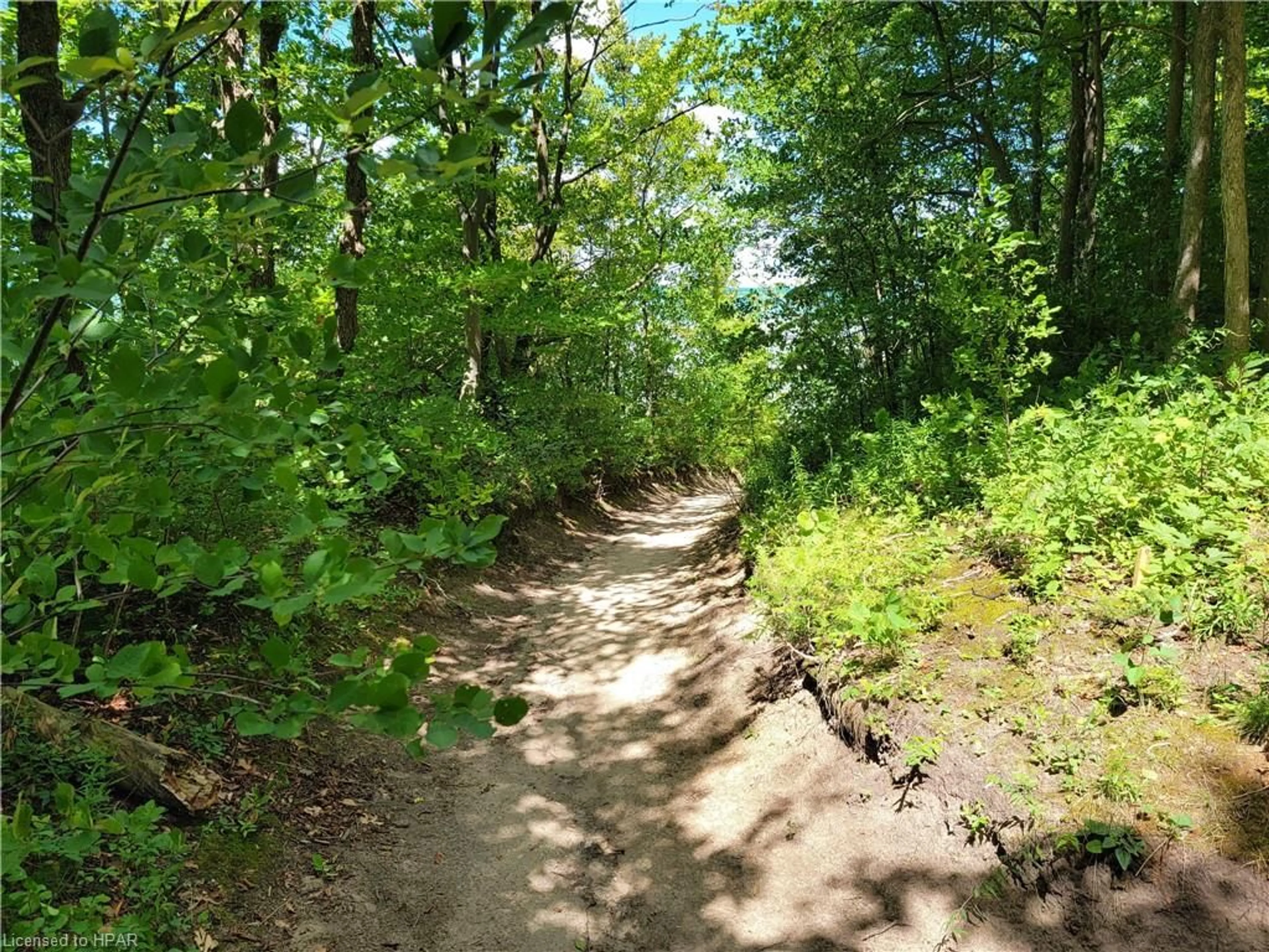 Patio, forest for 74730 Elm Crescent, Zurich Ontario N0M 1G0