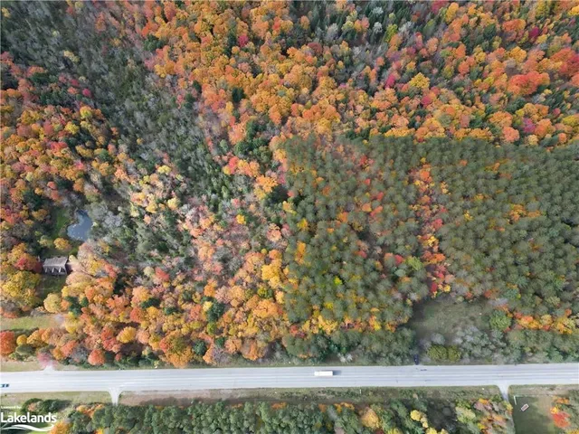 0 County Road 121 Rd, Kinmount 3