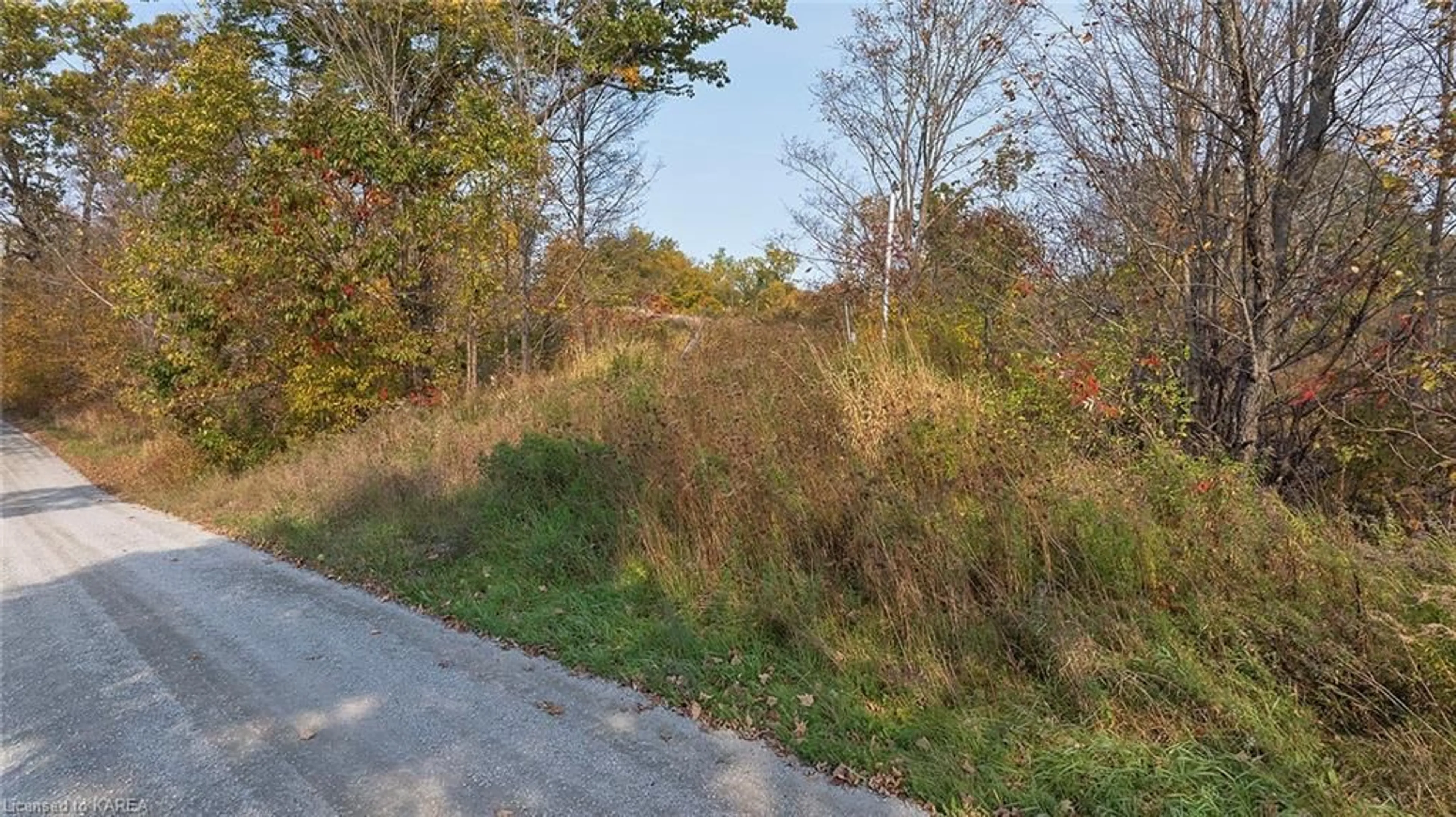 A pic from exterior of the house or condo, the street view for 1160 Clow Rd, Godfrey Ontario K0H 1T0