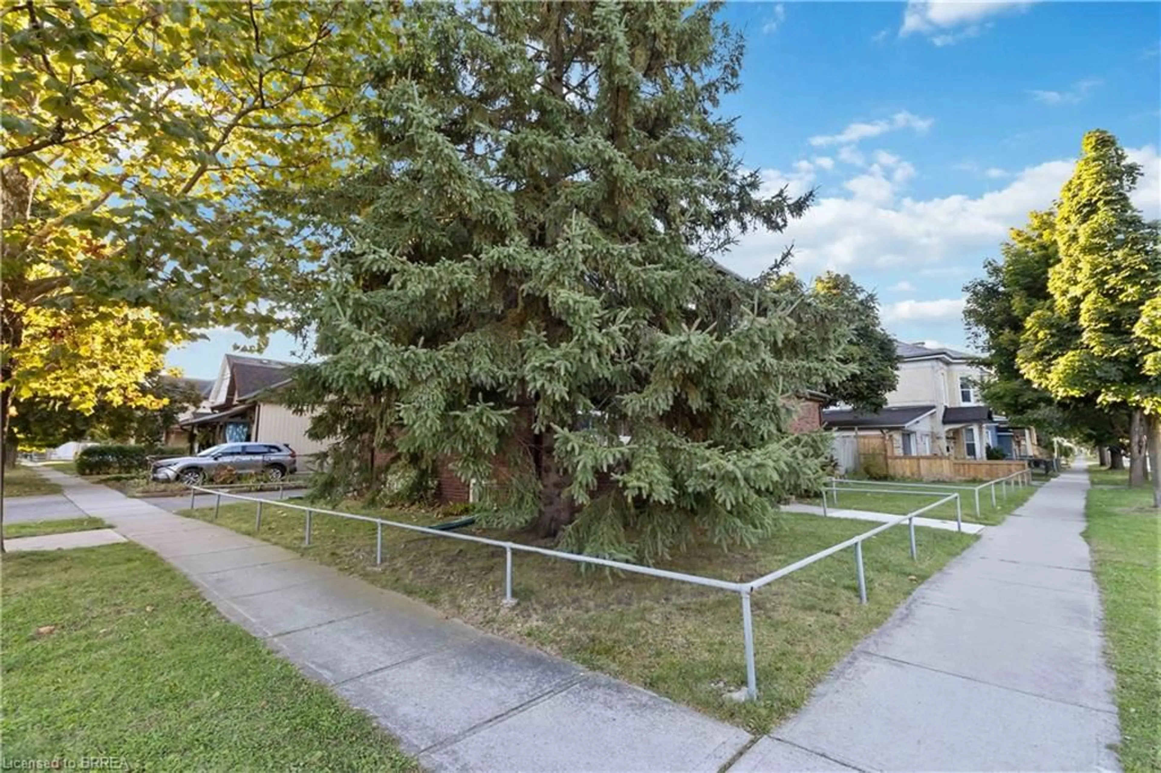 Frontside or backside of a home, the fenced backyard for 265 Park Ave, Brantford Ontario N3S 5K6