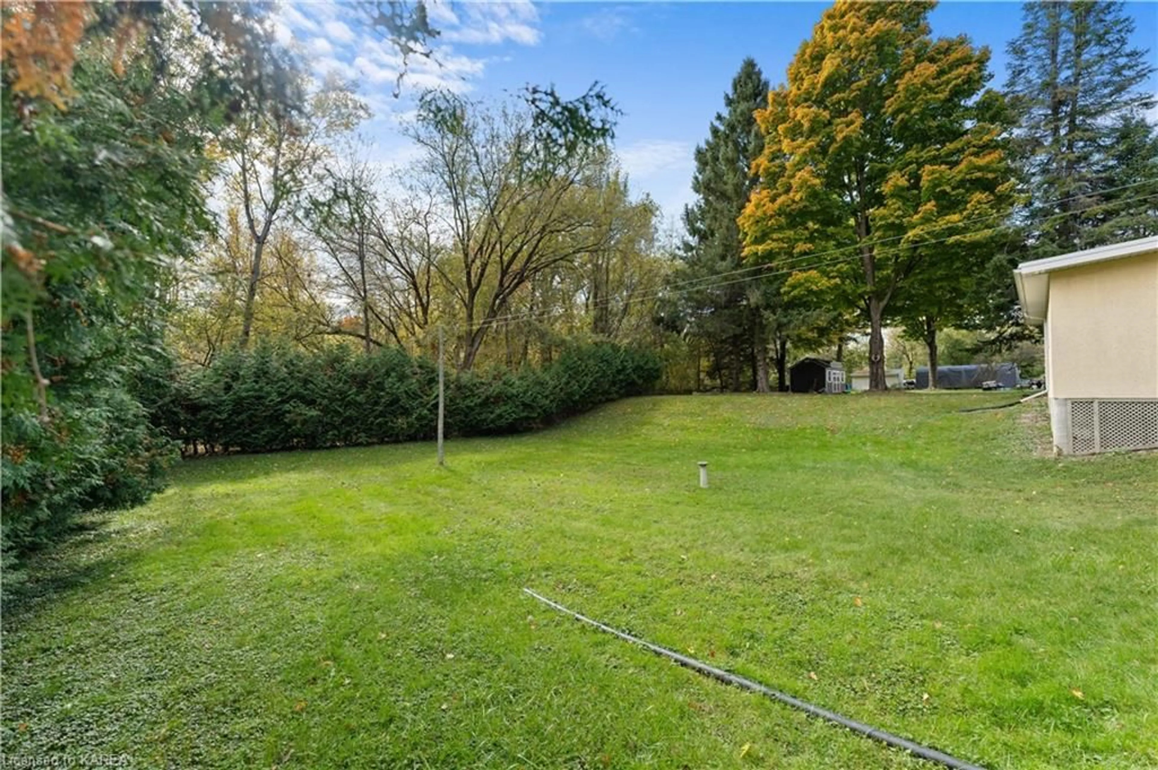 Patio, the fenced backyard for 203 Arnold St, Kingston Ontario K7M 3M4