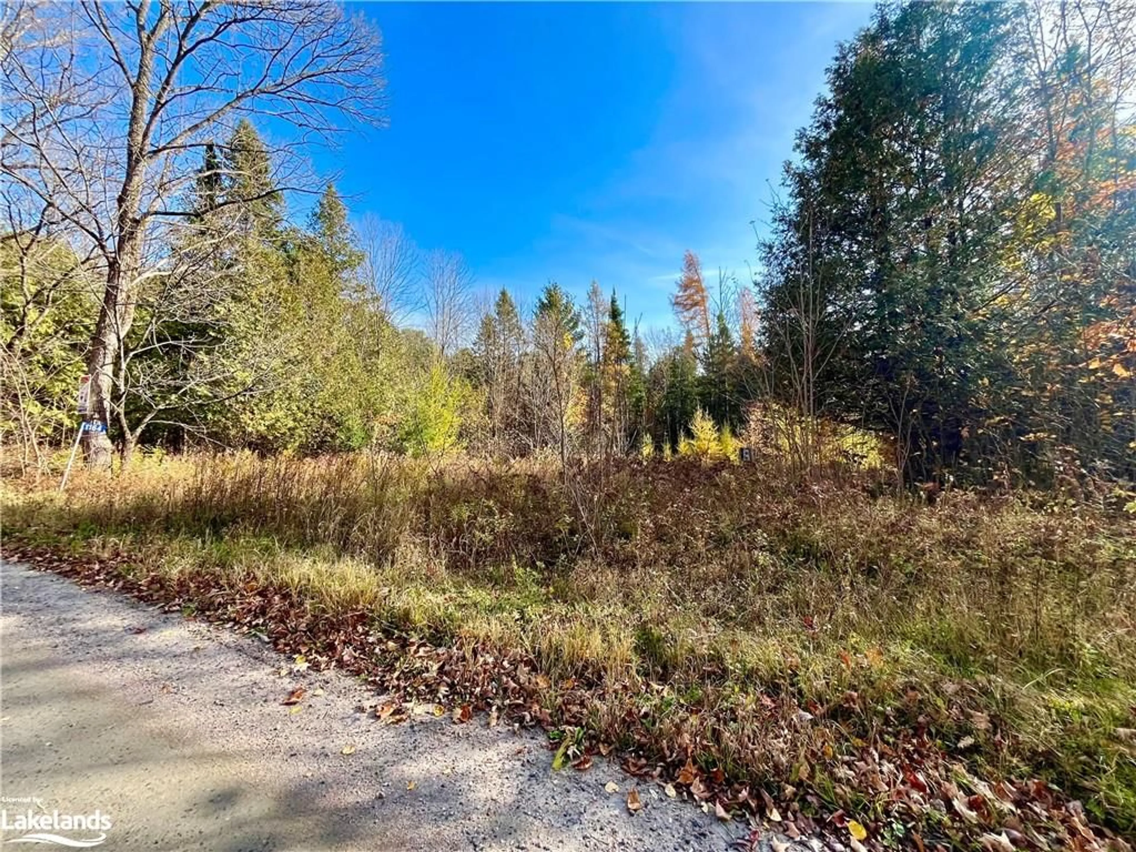 A pic of a room, unknown floor for 1164 Ravine Rd, Minden Ontario K0M 2K0