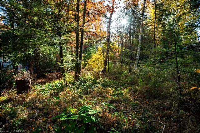 LOT 35 Jay St, Port Elgin 3