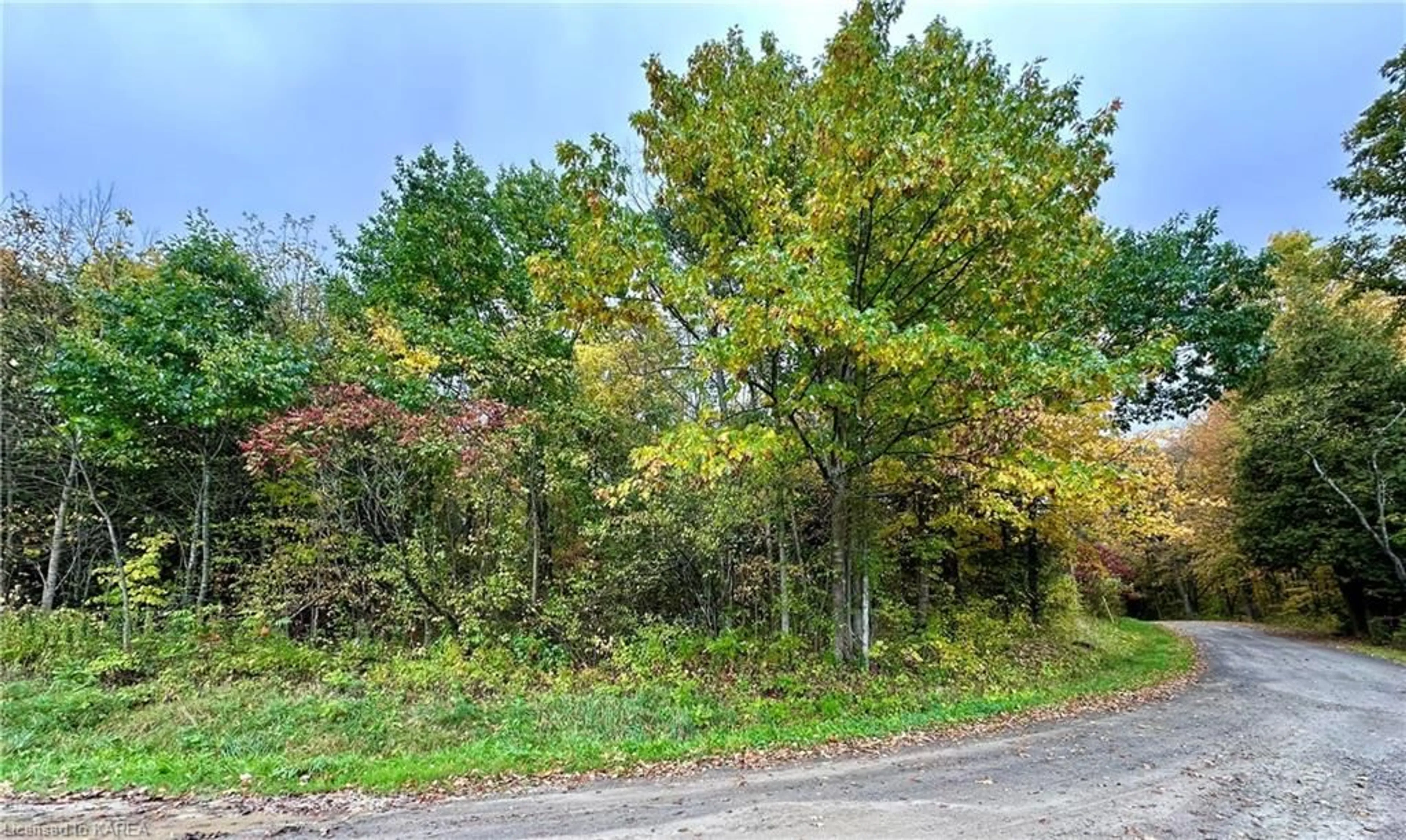 A pic from exterior of the house or condo, the street view for LOT 1 Murphy Rd, Tamworth Ontario K0K 3G0