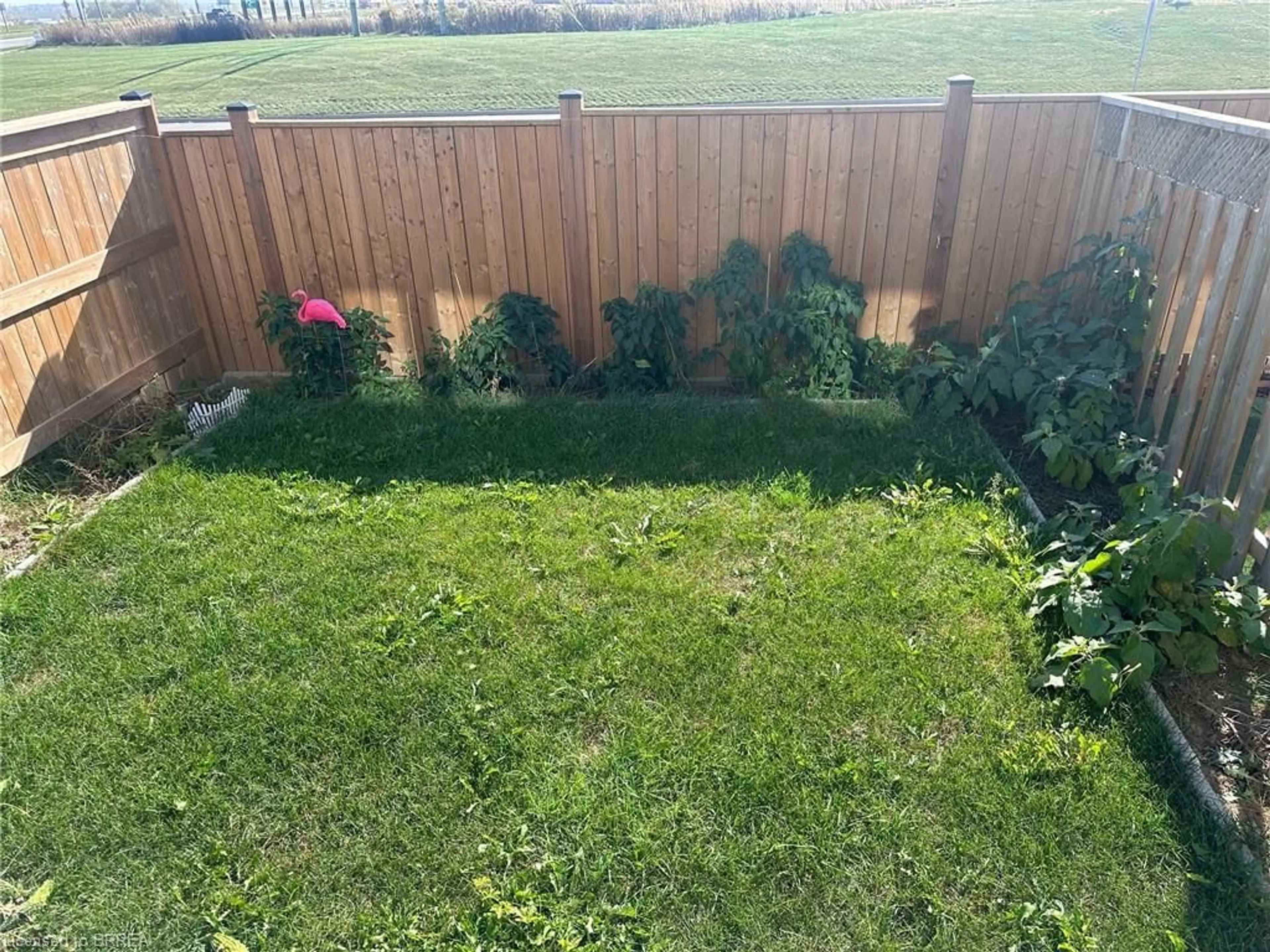 Patio, the fenced backyard for 110 Flagg Ave, Paris Ontario N3L 0B5