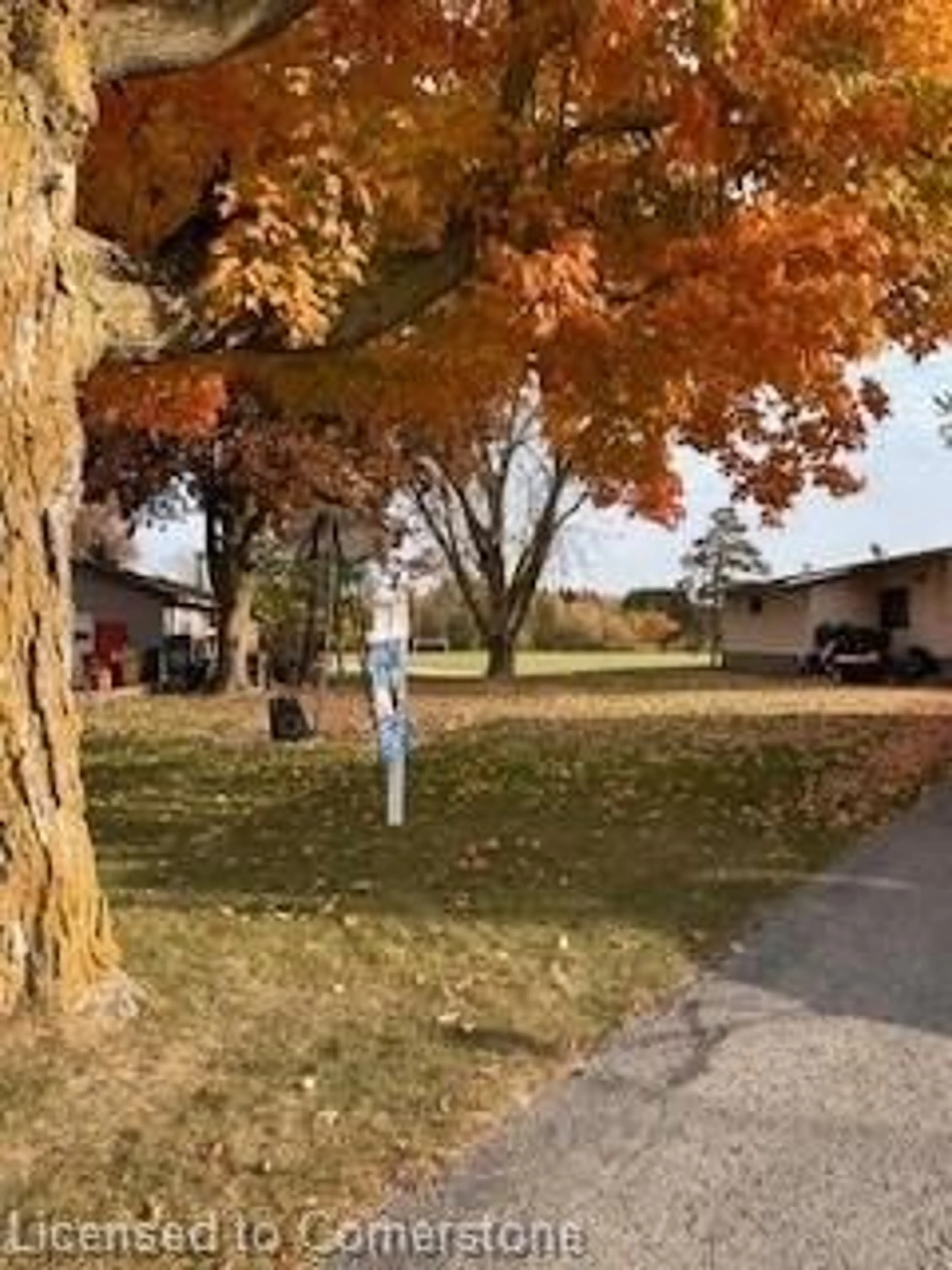 Frontside or backside of a home, the street view for 595 Raglan St, Palmerston Ontario N0G 2P0